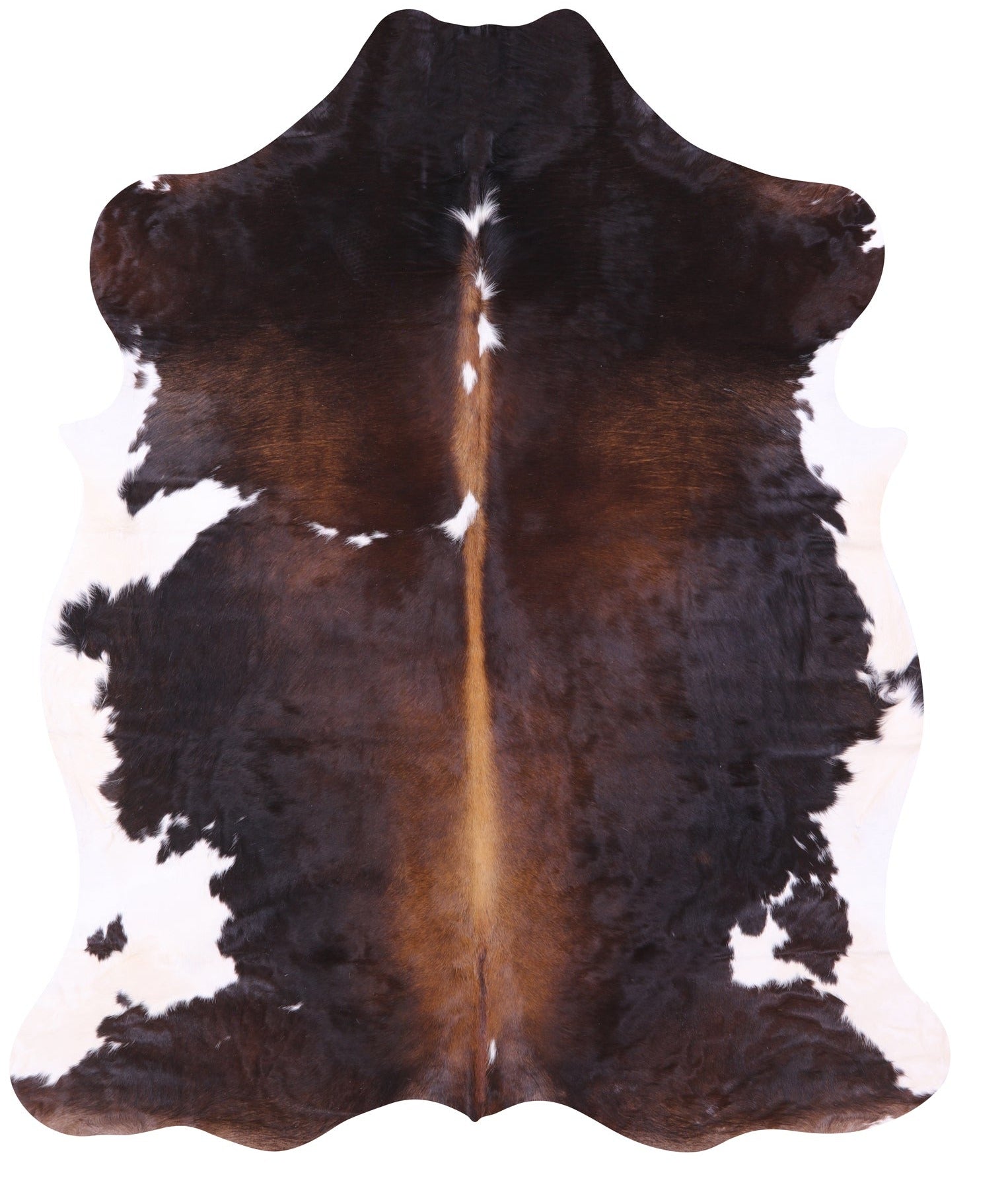 Natural Hair-On Cowhide Rug - 7' 2" X 5' 11" - Golden Nile