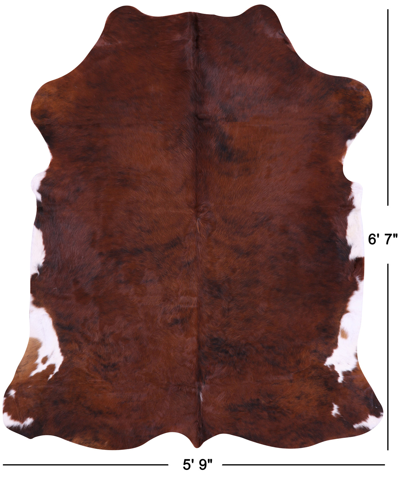 Natural Hair-On Cowhide Rug - 6' 7" X 5' 9" - Golden Nile