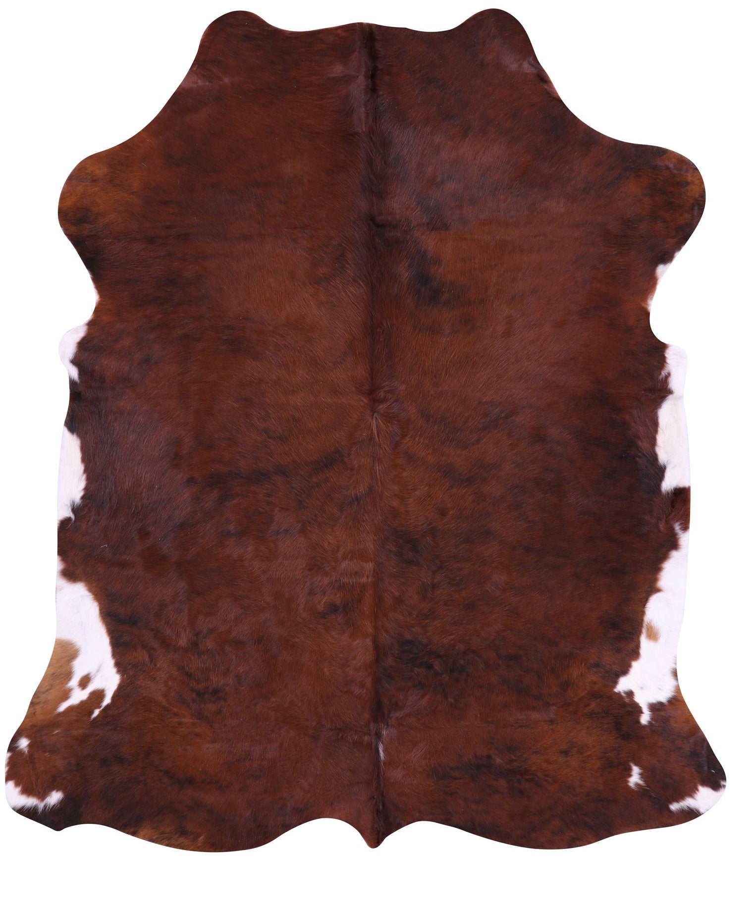 Natural Hair-On Cowhide Rug - 6' 7" X 5' 9" - Golden Nile