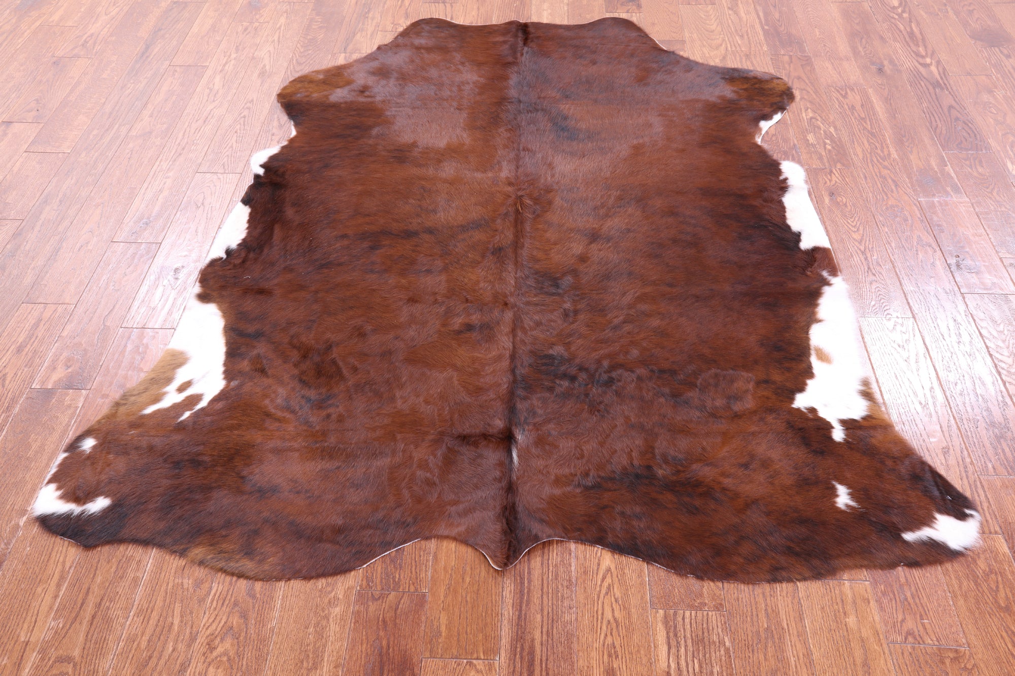 Natural Hair-On Cowhide Rug - 6' 7" X 5' 9" - Golden Nile