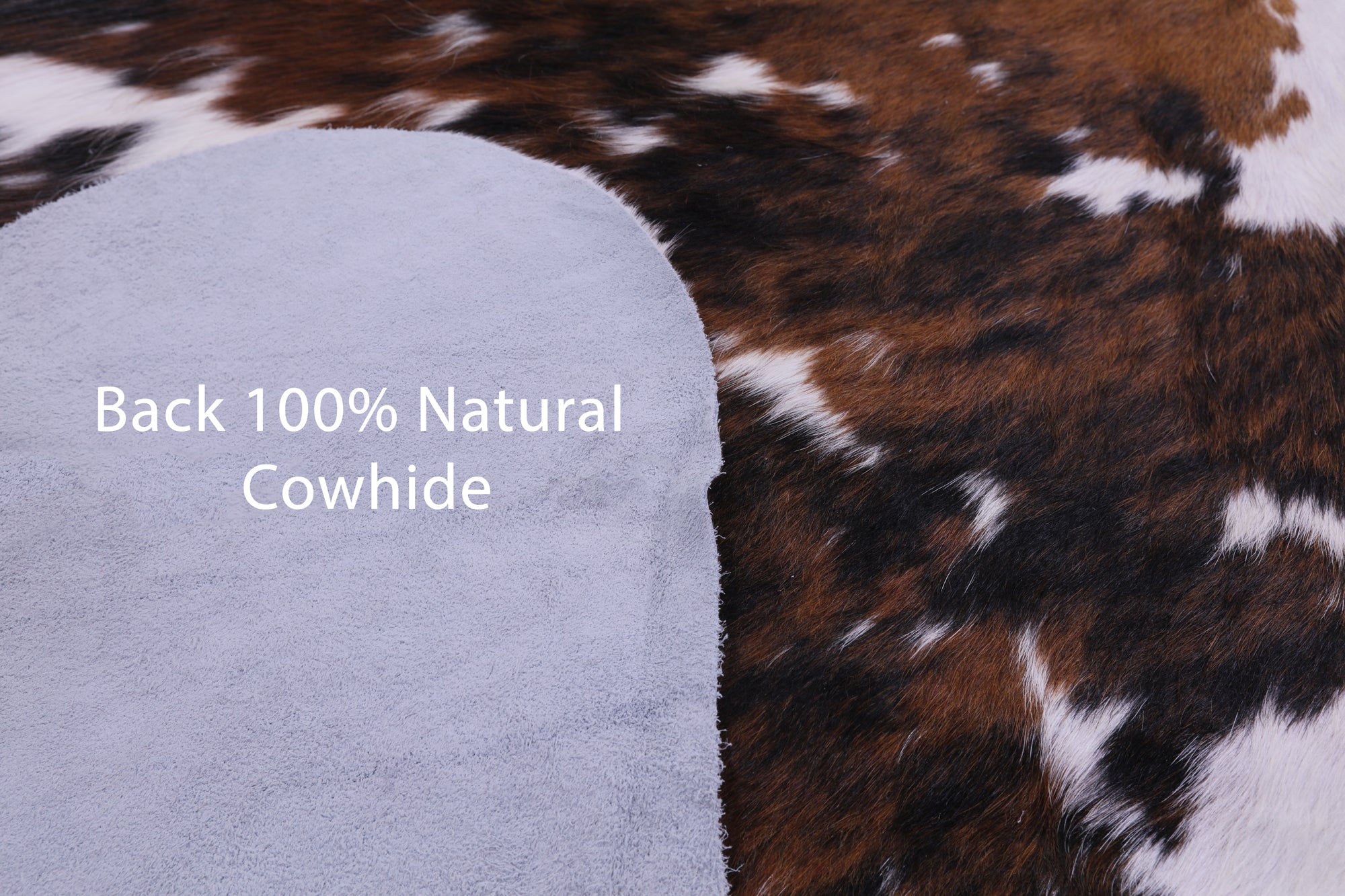 Natural Hair-On Cowhide Rug – Golden Nile