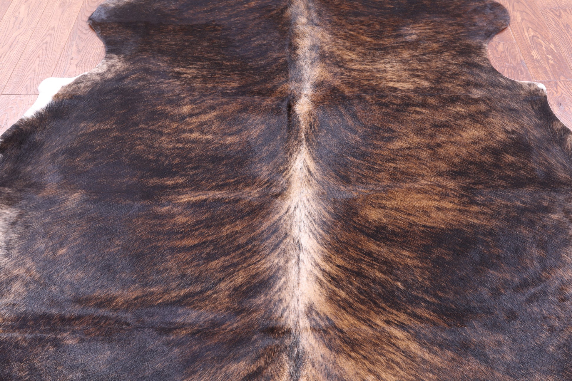 Brindle Natural Hair-On Cowhide Rug - 6' 11" X 6' 8" - Golden Nile
