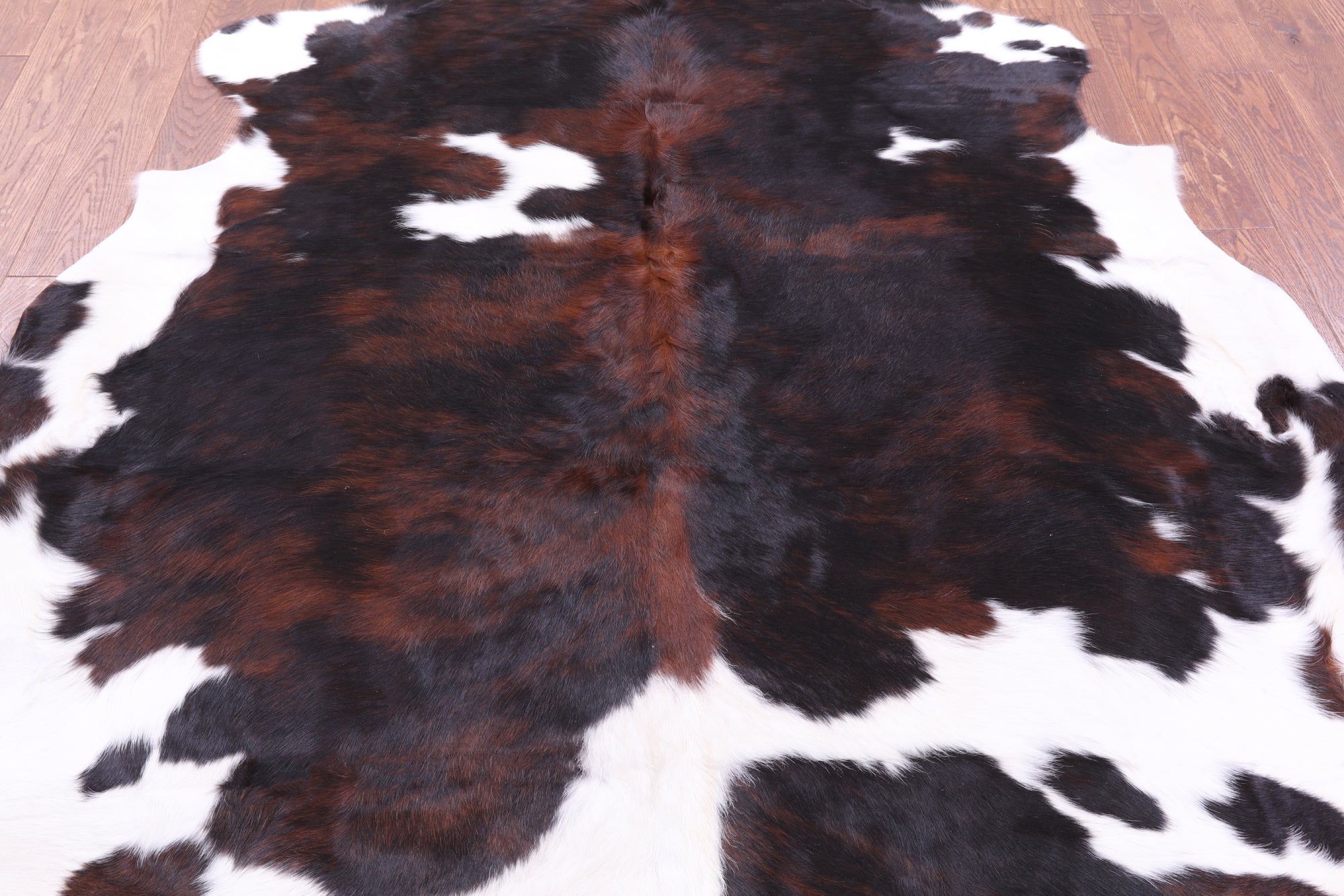 Natural Hair-On Cowhide Rug – Golden Nile