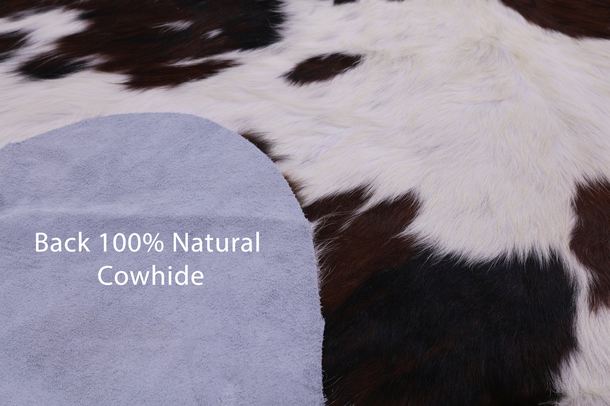 Natural Hair-On Cowhide Rug - 7' 0" X 6' 4" - Golden Nile