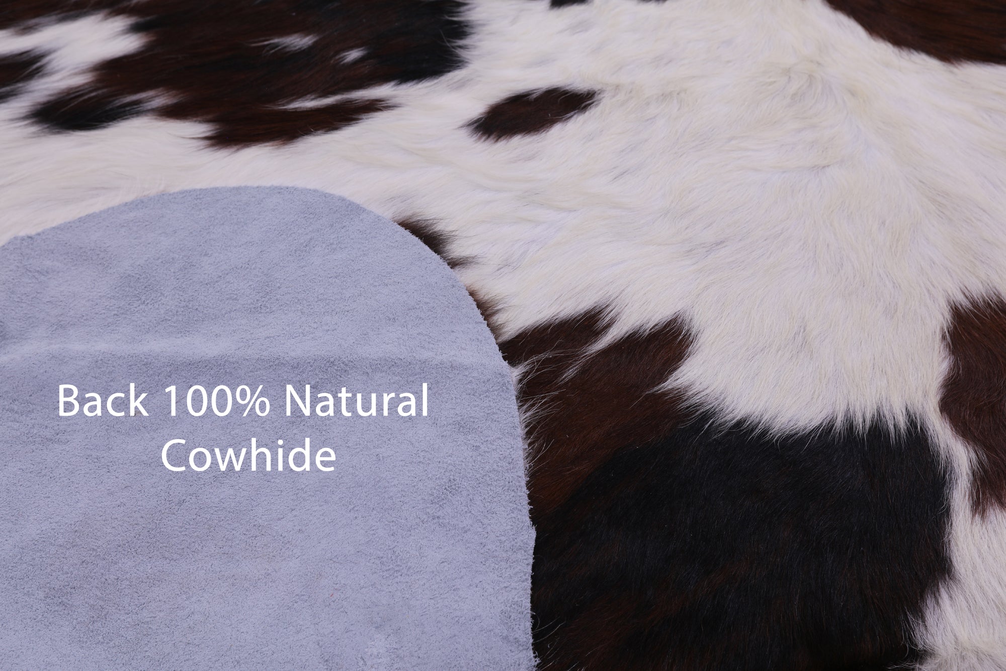 Natural Hair-On Cowhide Rug - 7' 0" X 6' 4" - Golden Nile