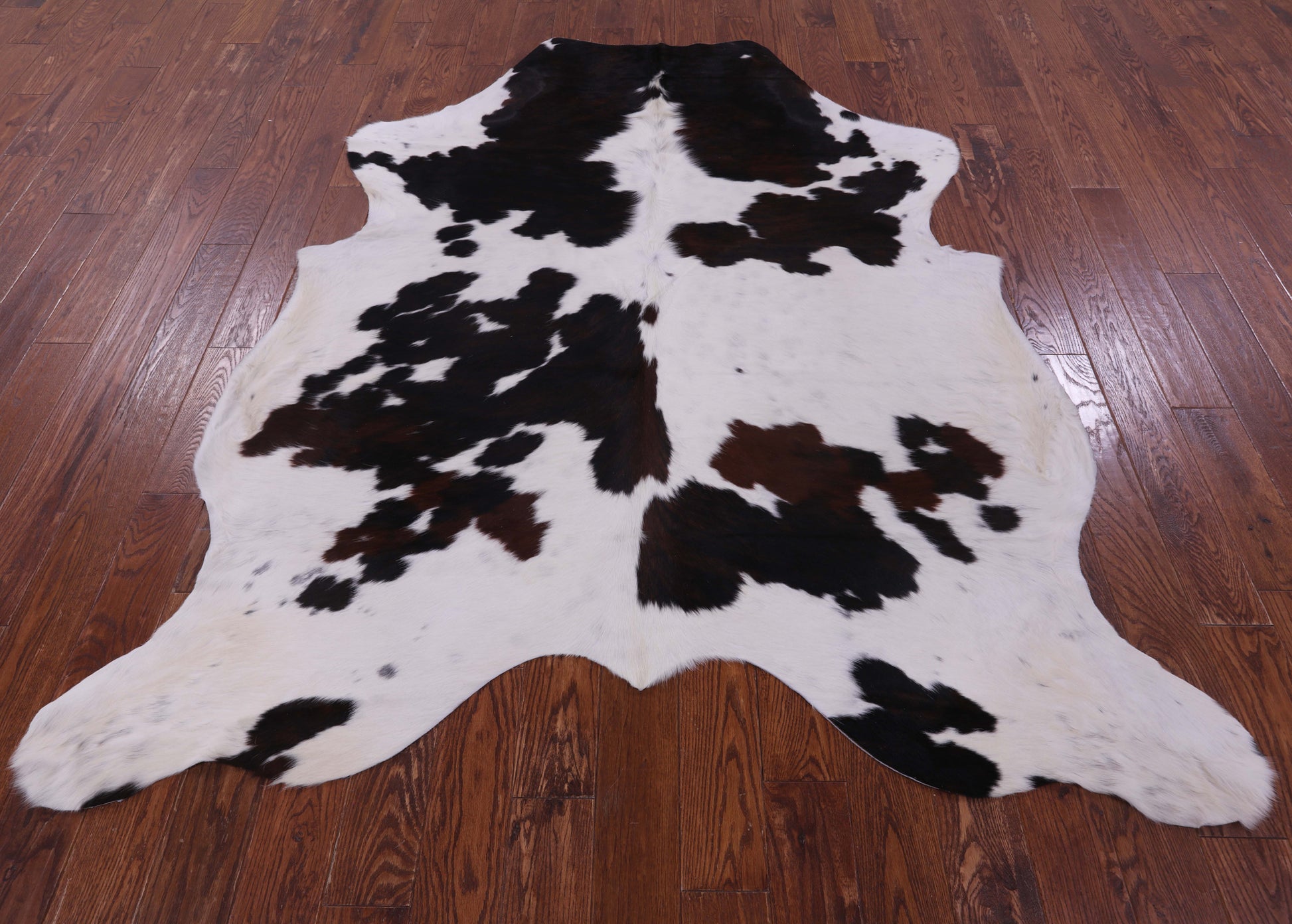 Natural Hair-On Cowhide Rug - 7' 5" X 6' 5" - Golden Nile