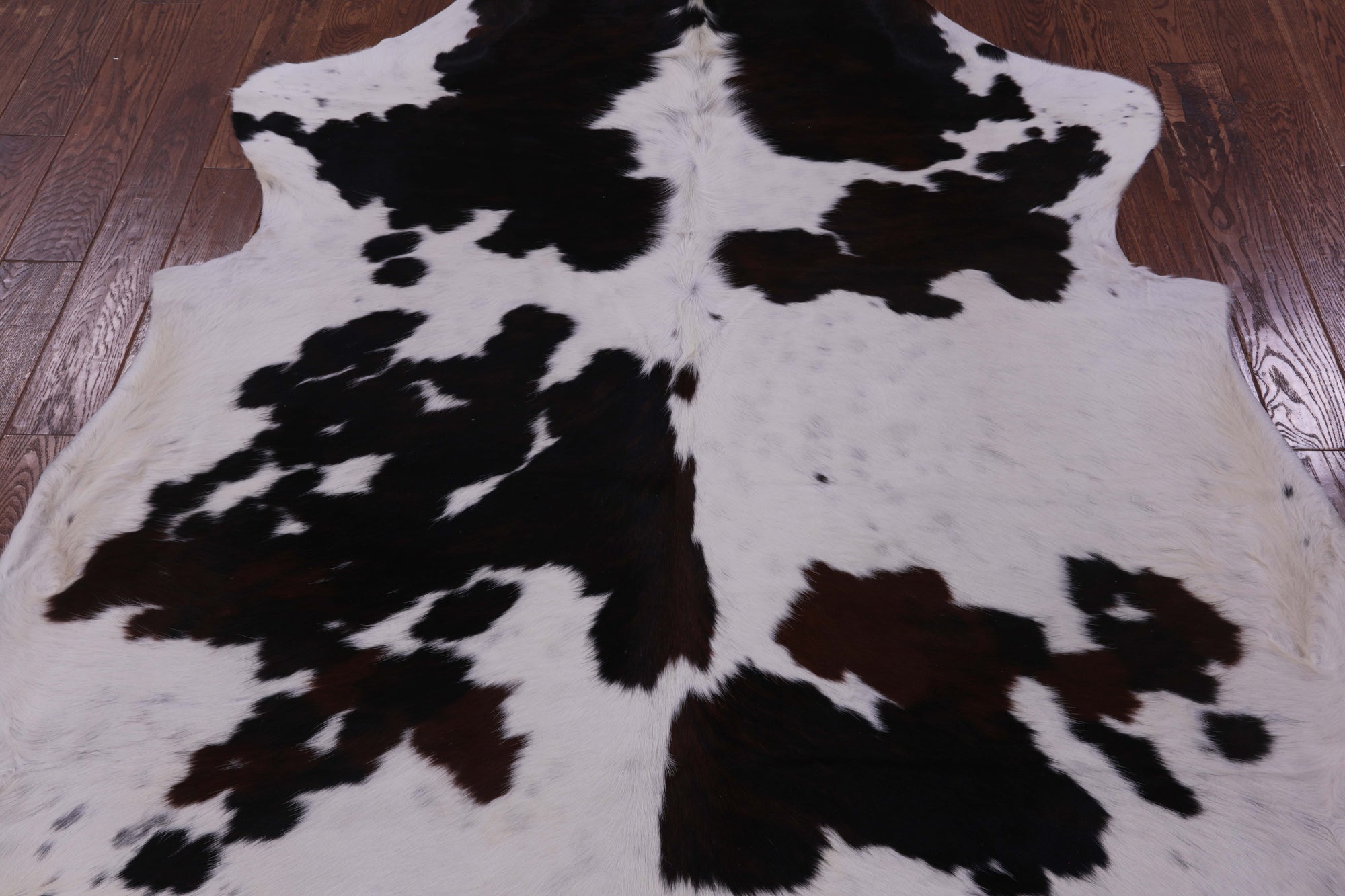 Natural Hair-On Cowhide Rug - 7' 5" X 6' 5" - Golden Nile