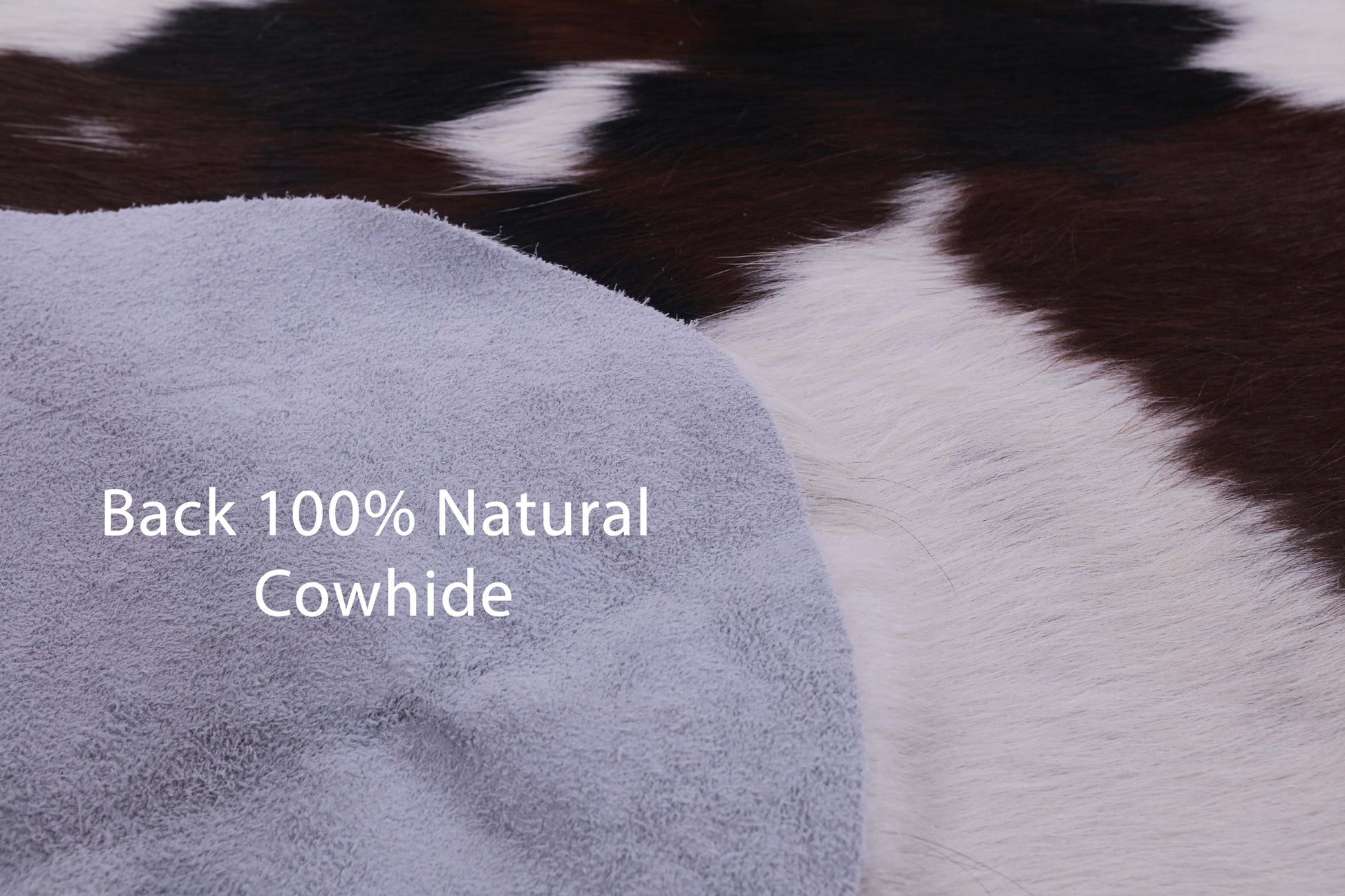 Natural Hair-On Cowhide Rug - 7' 5" X 6' 5" - Golden Nile