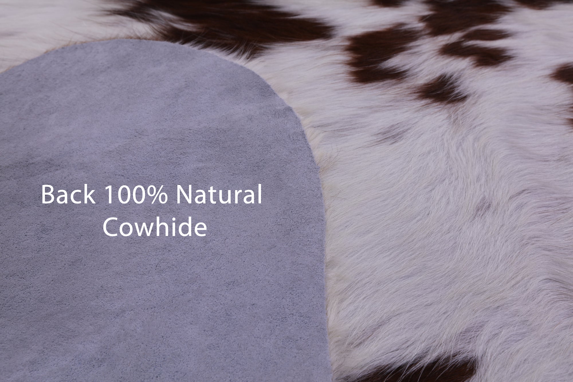 Natural Hair-On Cowhide Rug - 6' 5" X 6' 0" - Golden Nile