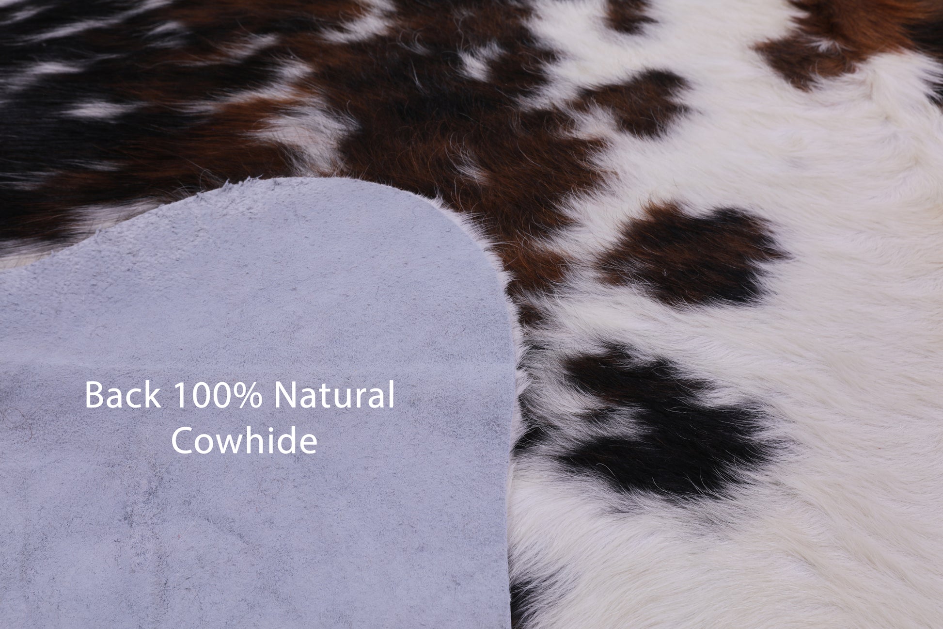 Natural Hair-On Cowhide Rug - 6' 10" X 6' 4" - Golden Nile