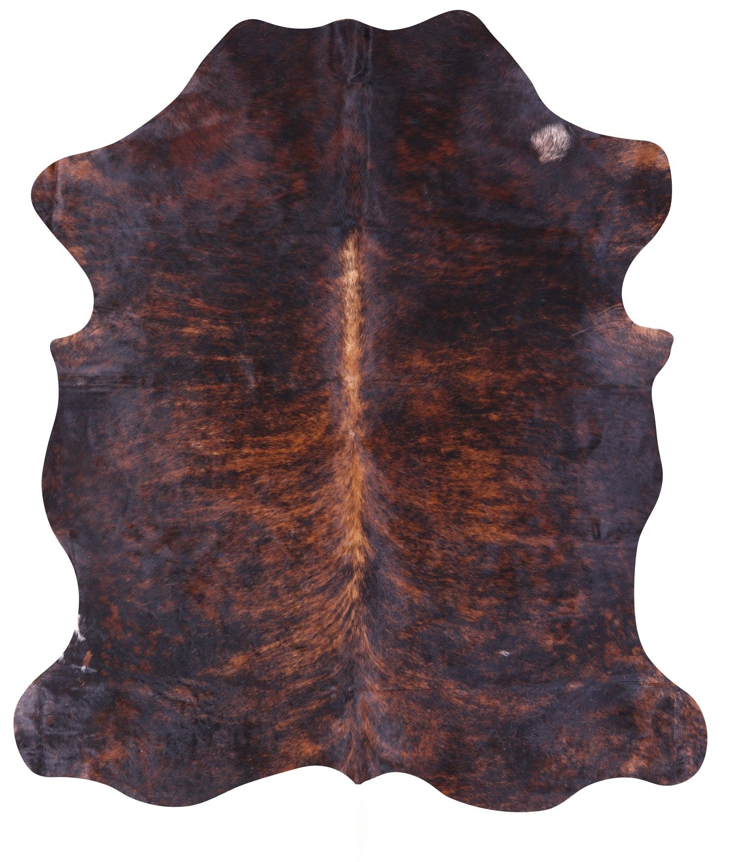 Natural Hair-On Cowhide Rug - 6' 11" X 6' 2" - Golden Nile
