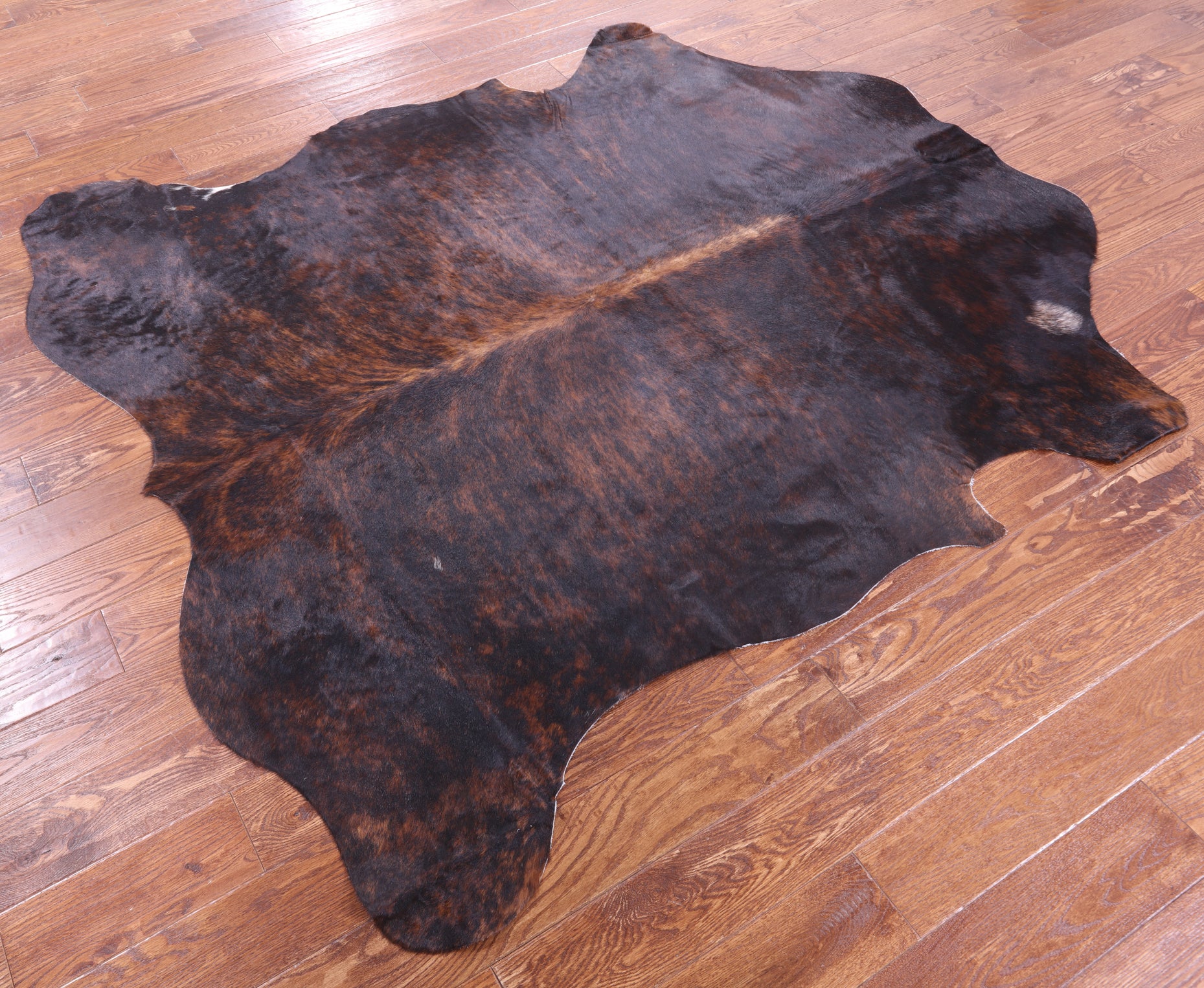Natural Hair-On Cowhide Rug - 6' 11" X 6' 2" - Golden Nile