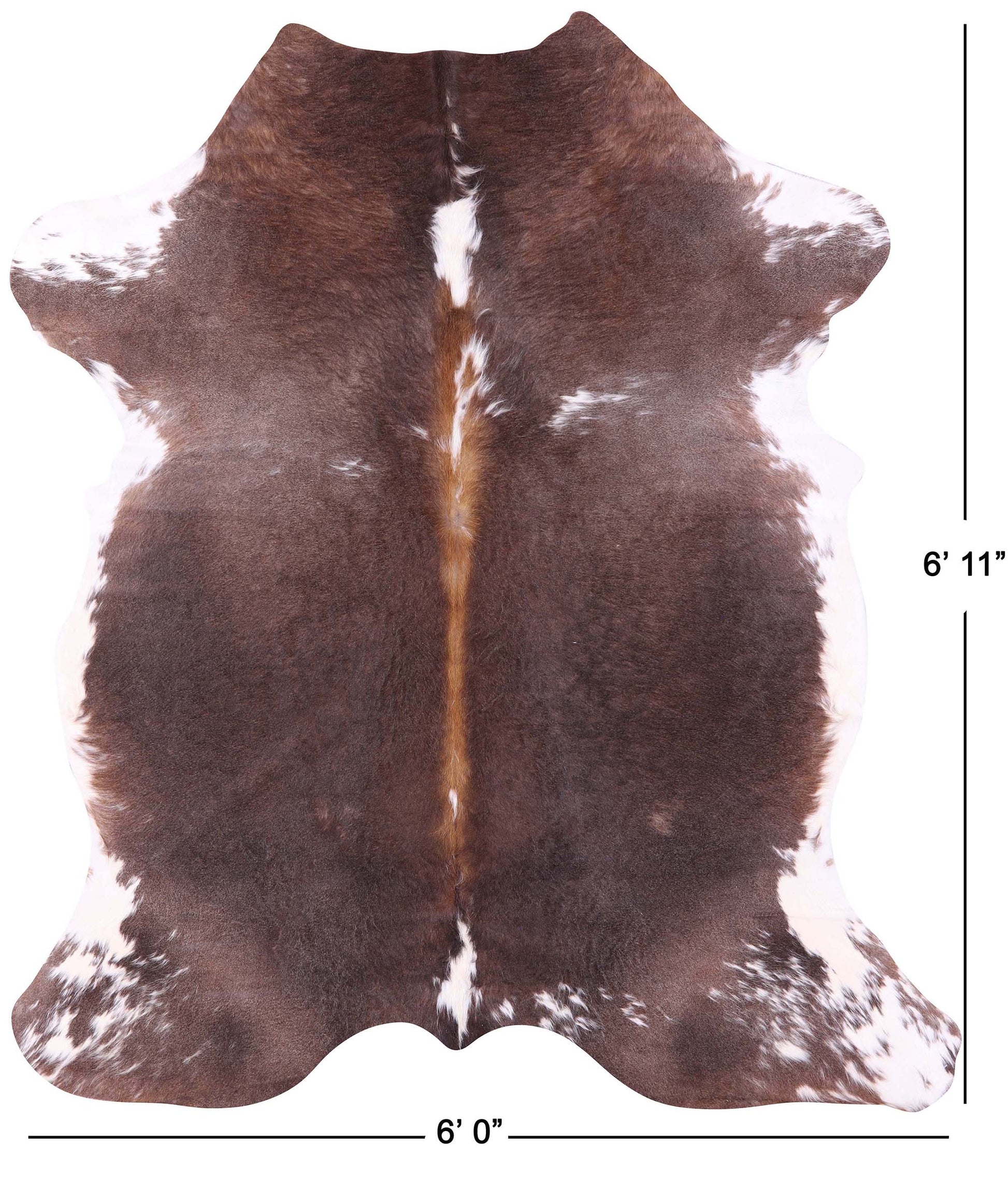Natural Hair-On Cowhide Rug - 6' 11" X 6' 0" - Golden Nile