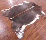 Natural Hair-On Cowhide Rug - 6' 11" X 6' 0" - Golden Nile