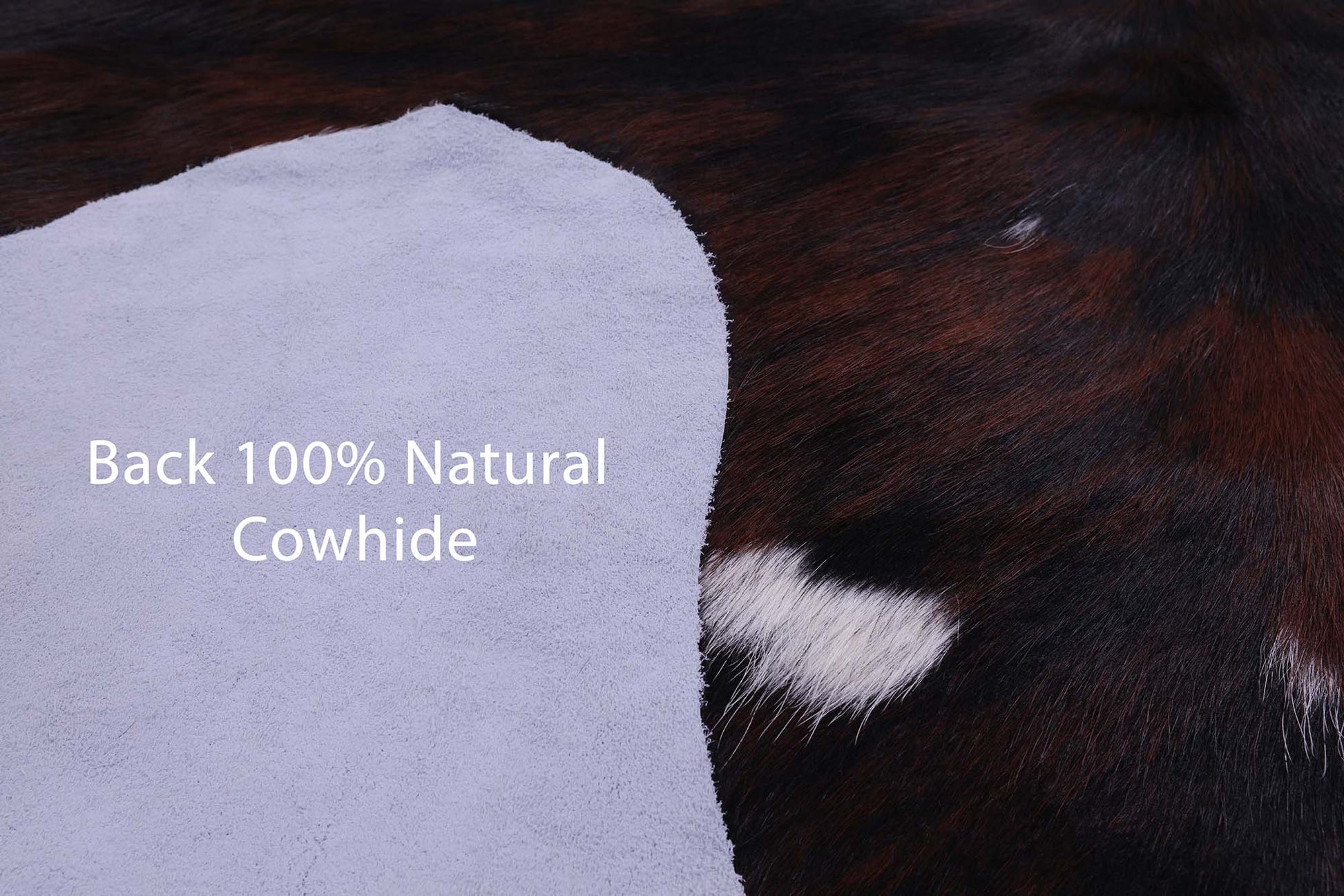 Natural Hair-On Cowhide Rug - 7' 1" X 5' 10" - Golden Nile