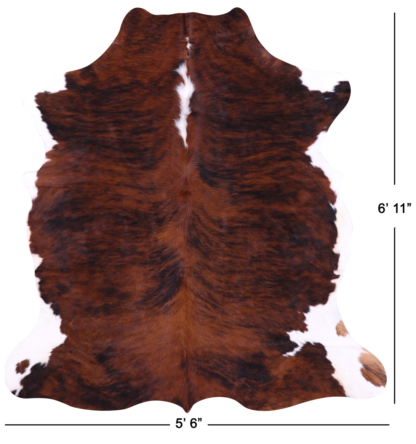 Natural Hair-On Cowhide Rug - 6' 11" X 5' 6" - Golden Nile