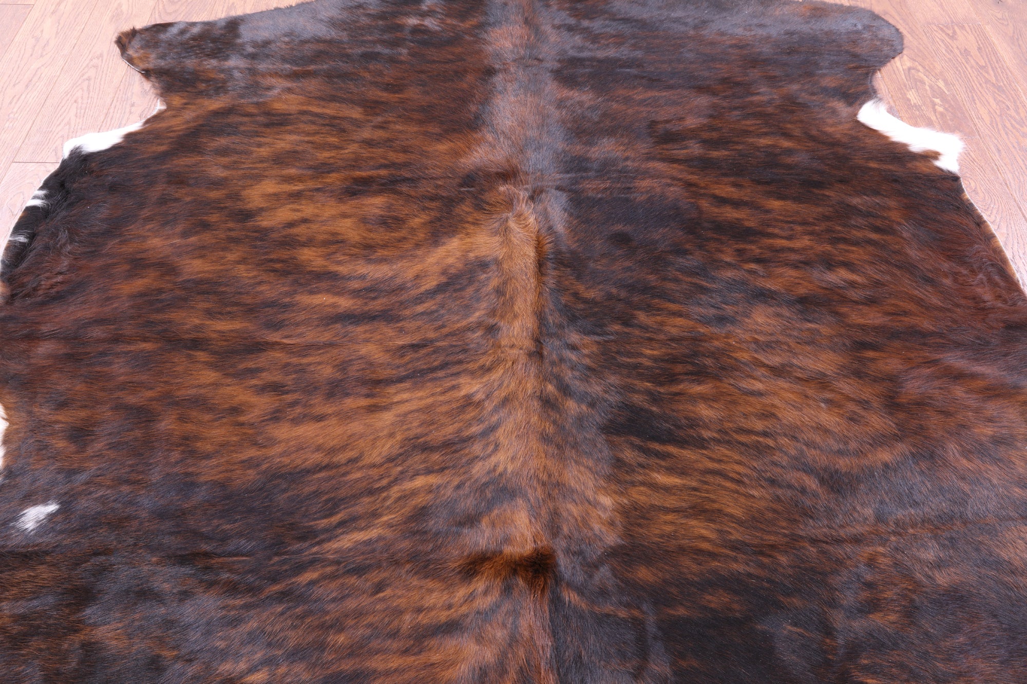 Brindle Natural Hair-On Cowhide Rug - 6' 8" X 6' 2" - Golden Nile