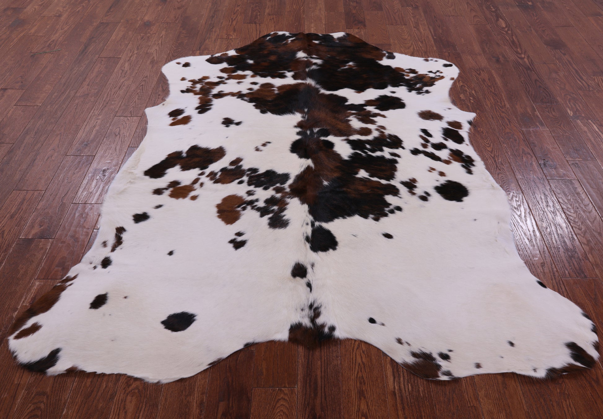 Natural Hair-On Cowhide Rug - 7' 0" X 5' 11" - Golden Nile