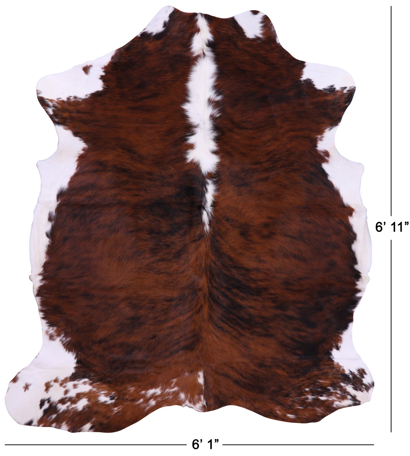 Natural Hair-On Cowhide Rug - 6' 11" X 6' 1" - Golden Nile