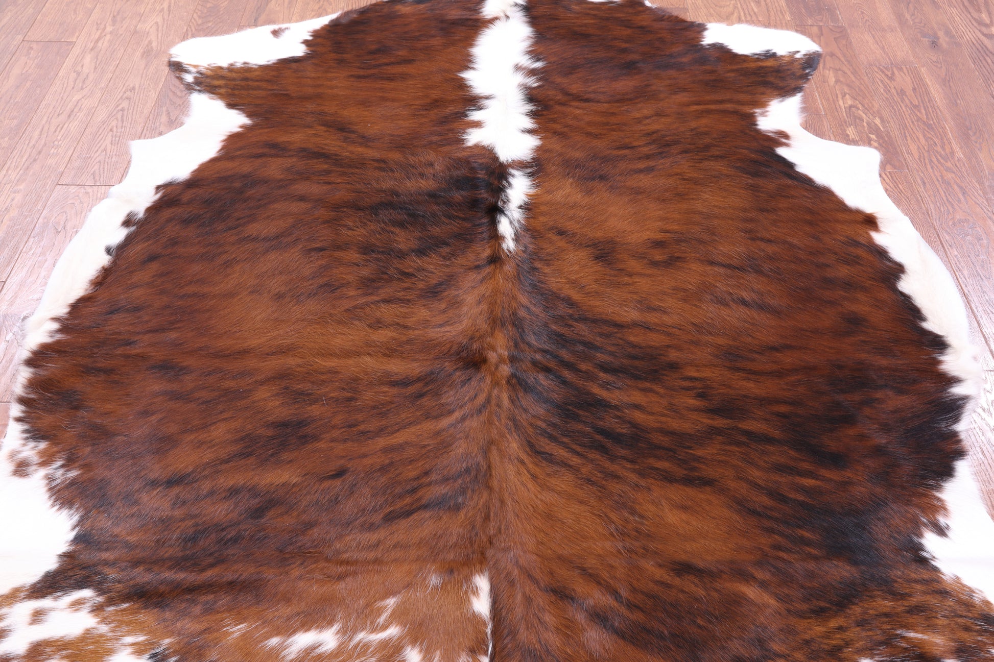 Natural Hair-On Cowhide Rug - 6' 11" X 6' 1" - Golden Nile
