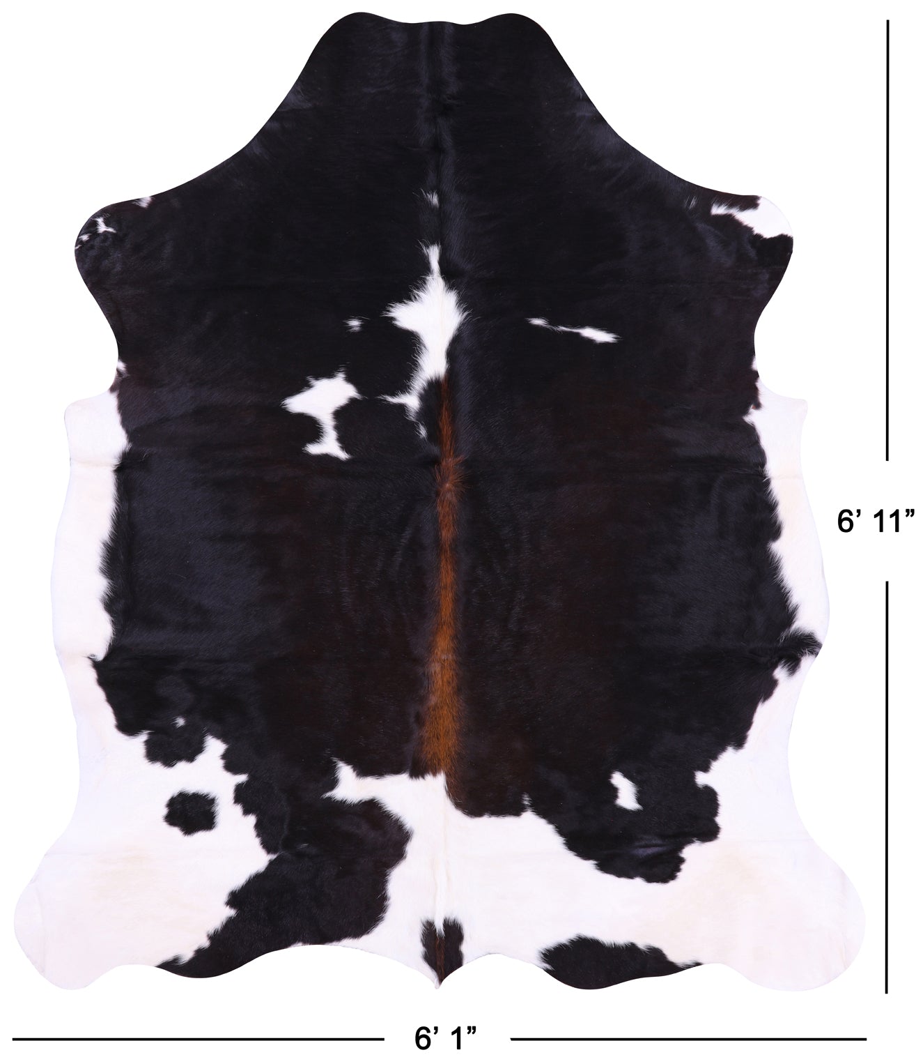 Natural Hair-On Cowhide Rug - 6' 11" X 6' 1" - Golden Nile