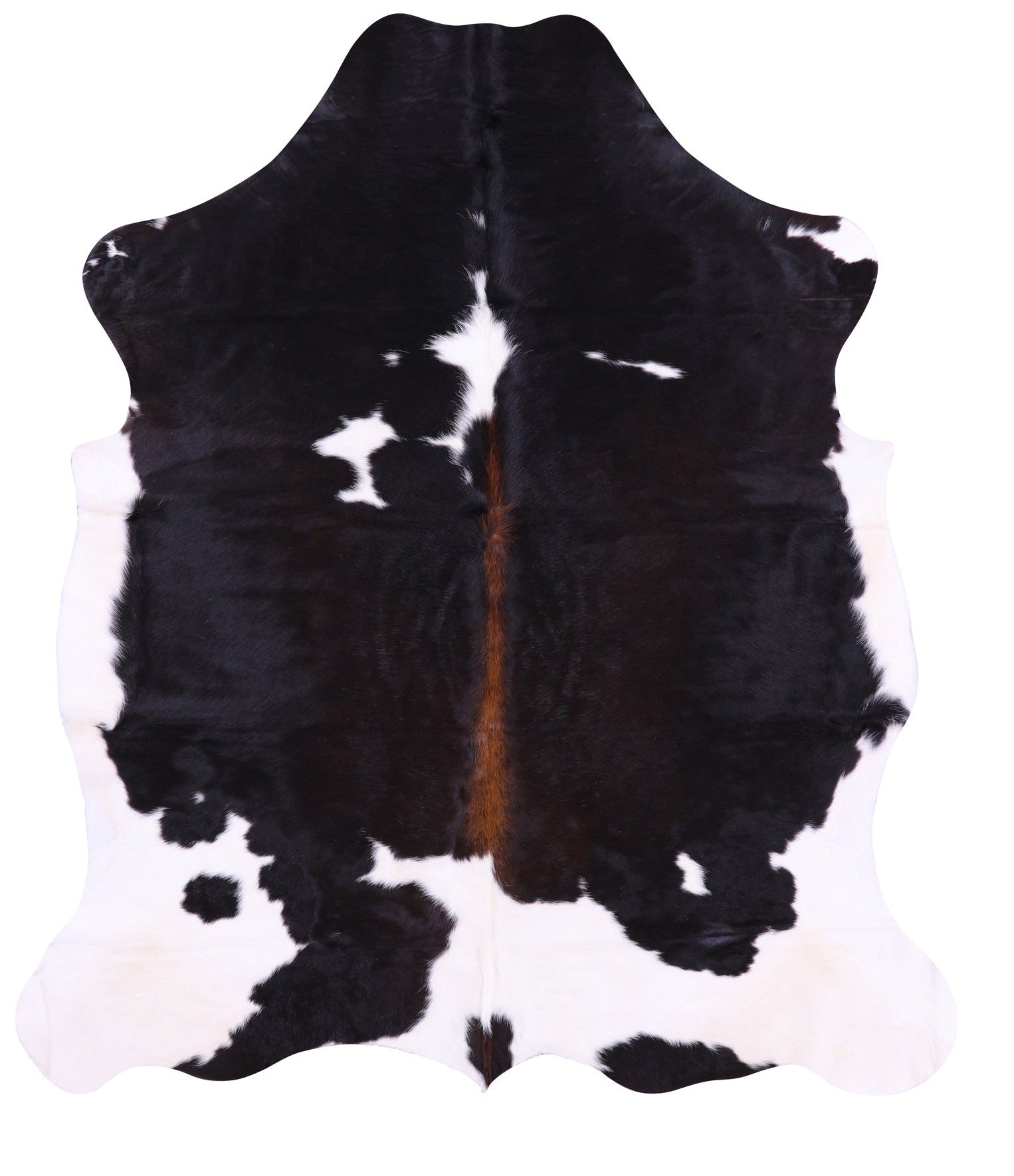 Natural Hair-On Cowhide Rug - 6' 11" X 6' 1" - Golden Nile