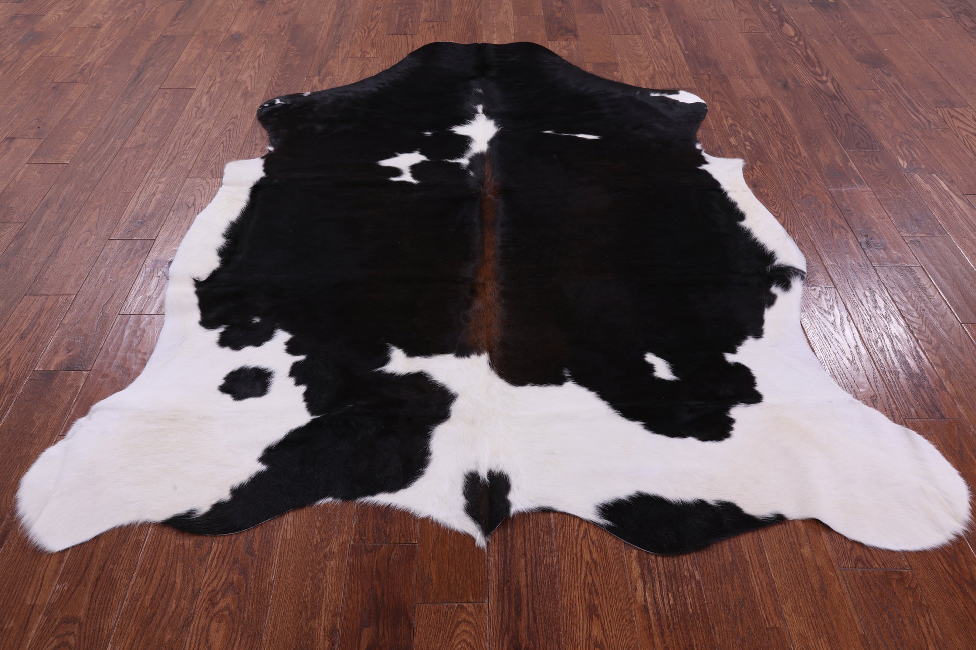 Natural Hair-On Cowhide Rug - 6' 11" X 6' 1" - Golden Nile