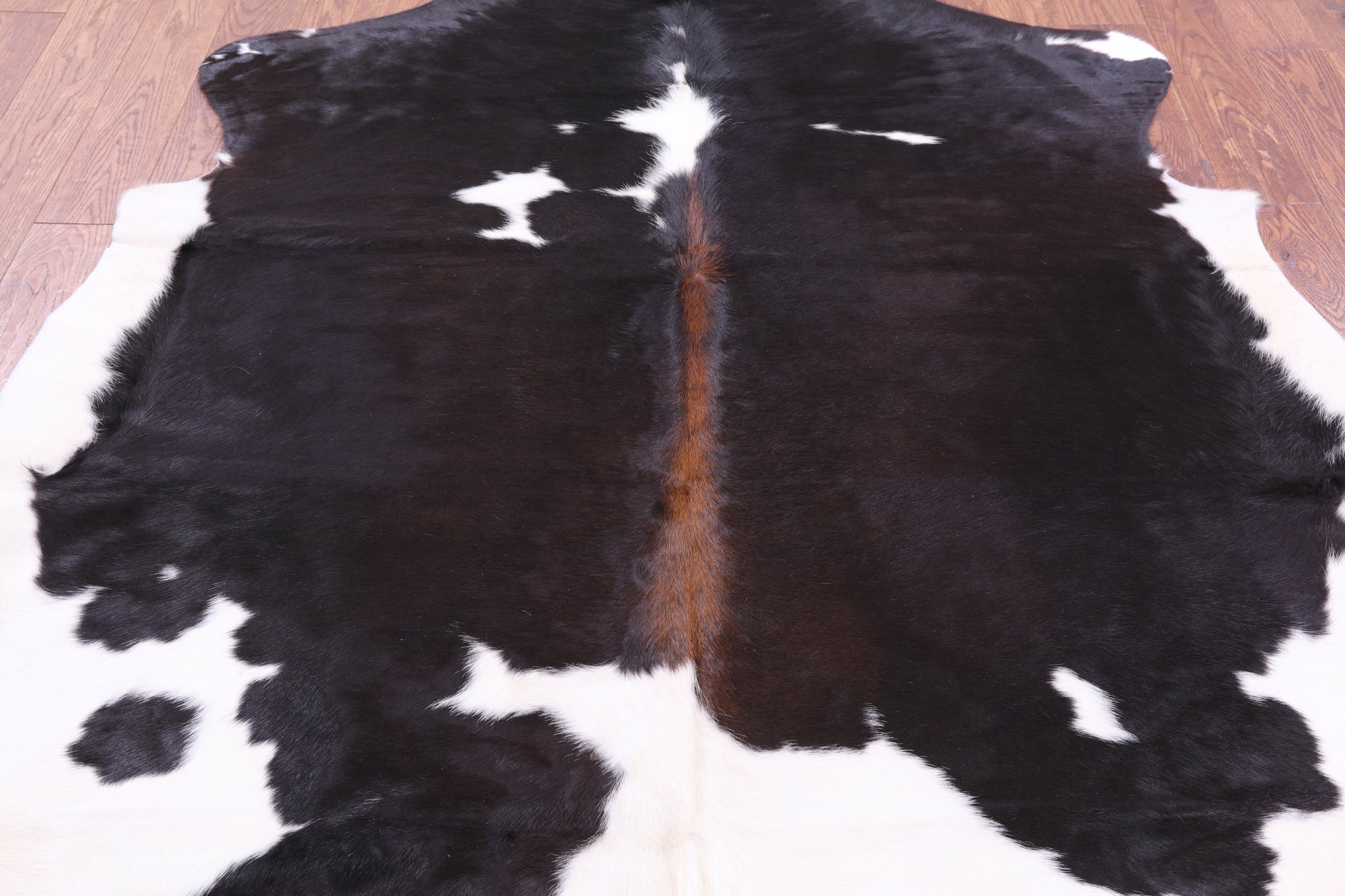 Natural Hair-On Cowhide Rug - 6' 11" X 6' 1" - Golden Nile