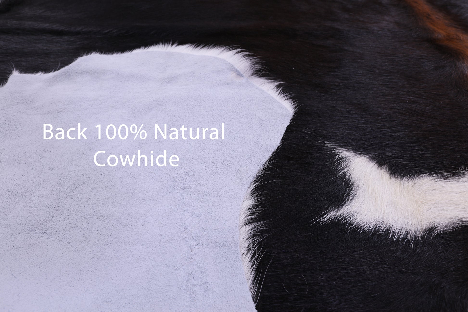Natural Hair-On Cowhide Rug - 6' 11" X 6' 1" - Golden Nile