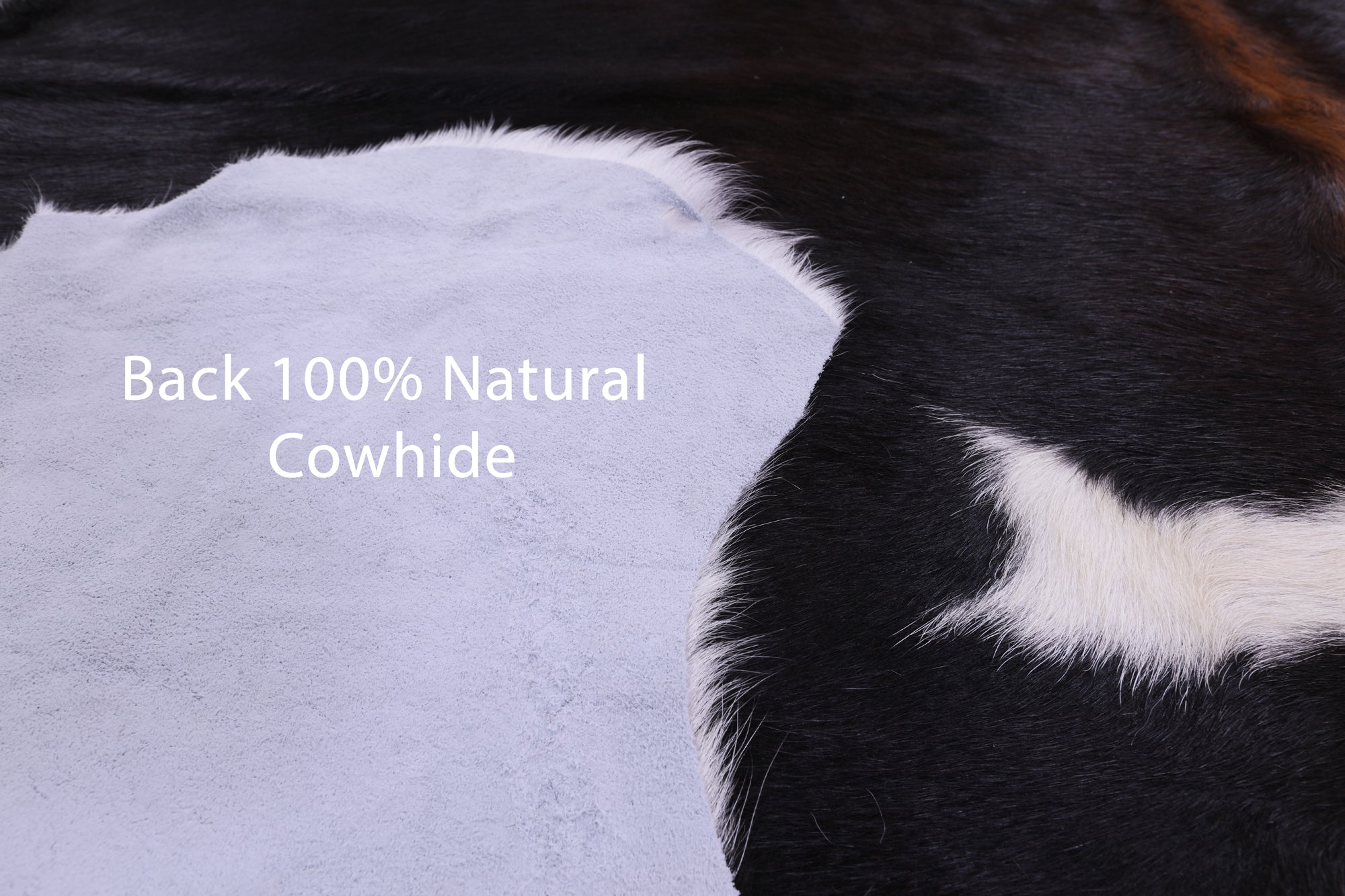 Natural Hair-On Cowhide Rug - 6' 11" X 6' 1" - Golden Nile