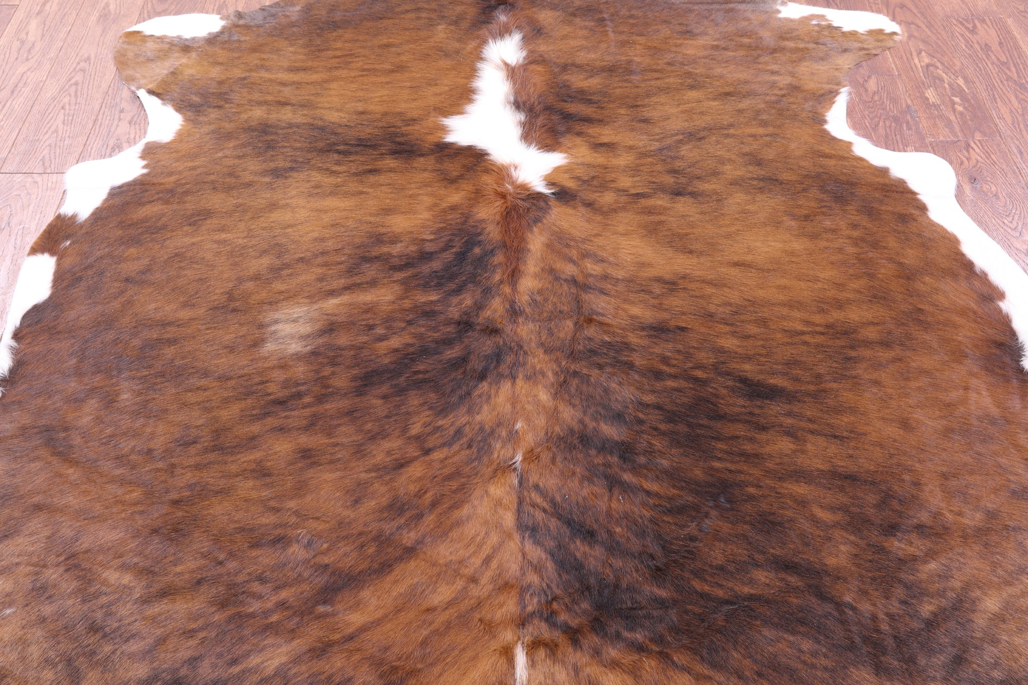Natural Hair-On Cowhide Rug - 7' 0" X 6' 4" - Golden Nile