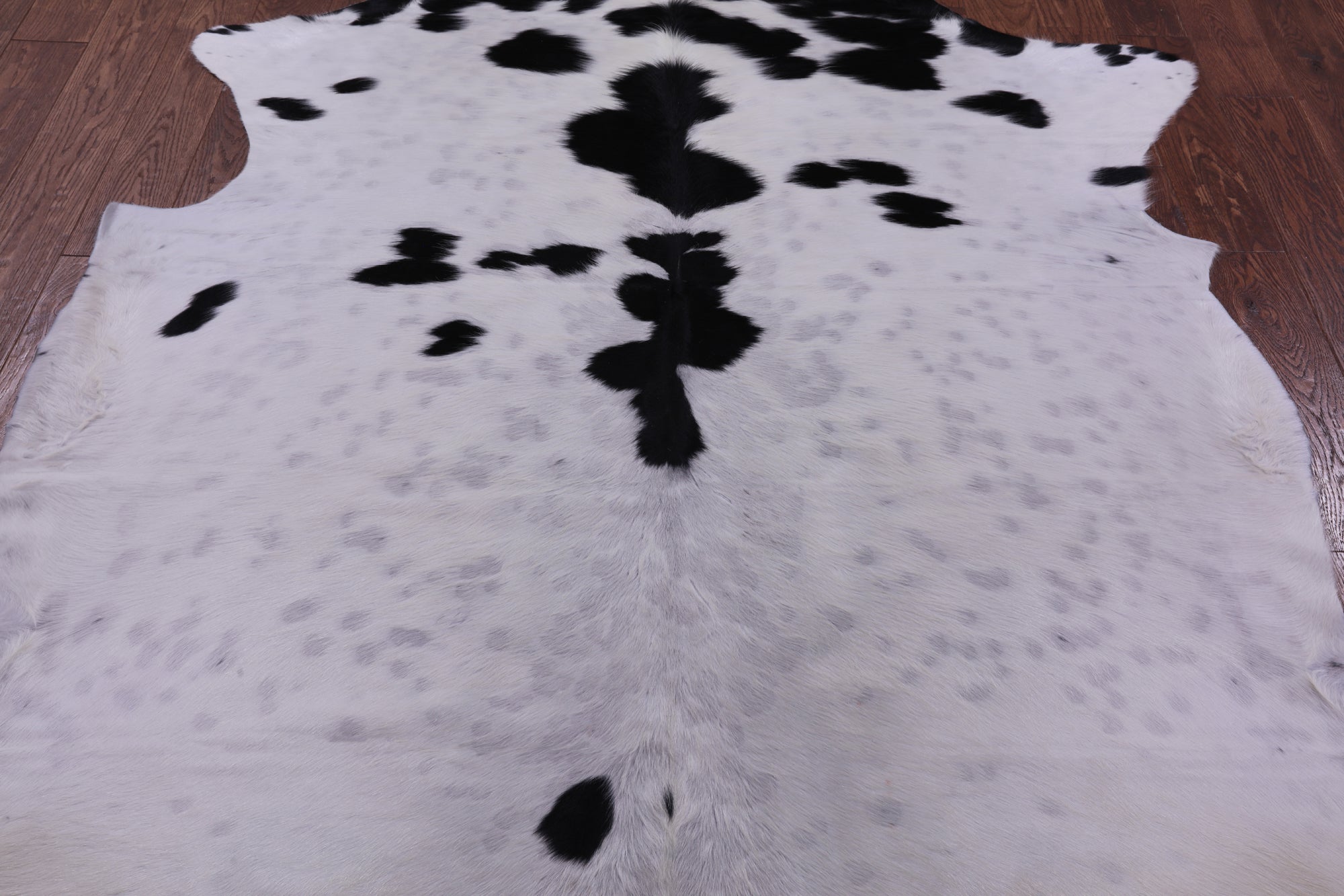 Natural Hair-On Cowhide Rug - 7' 0" X 6' 7" - Golden Nile
