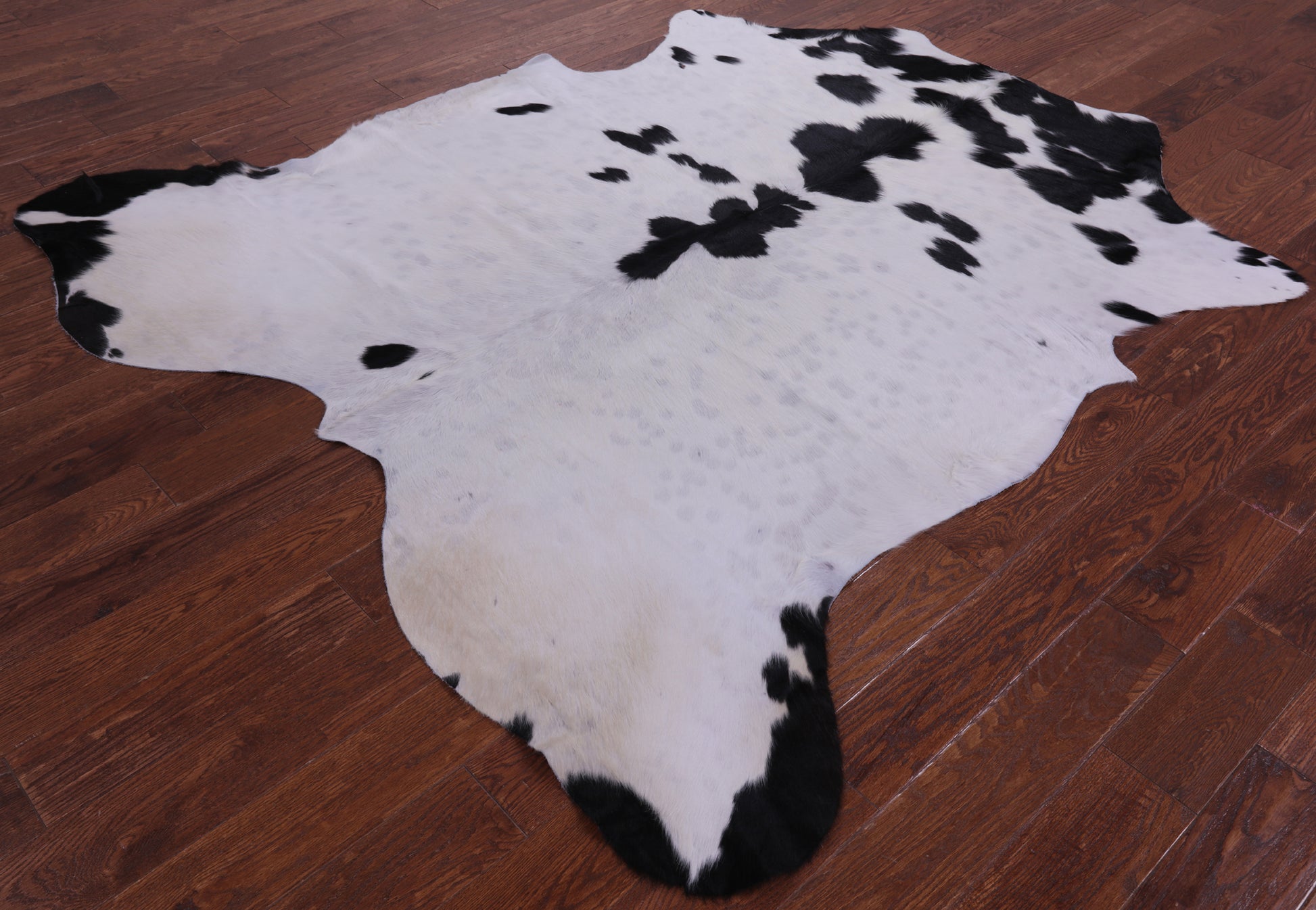 Natural Hair-On Cowhide Rug - 7' 0" X 6' 7" - Golden Nile