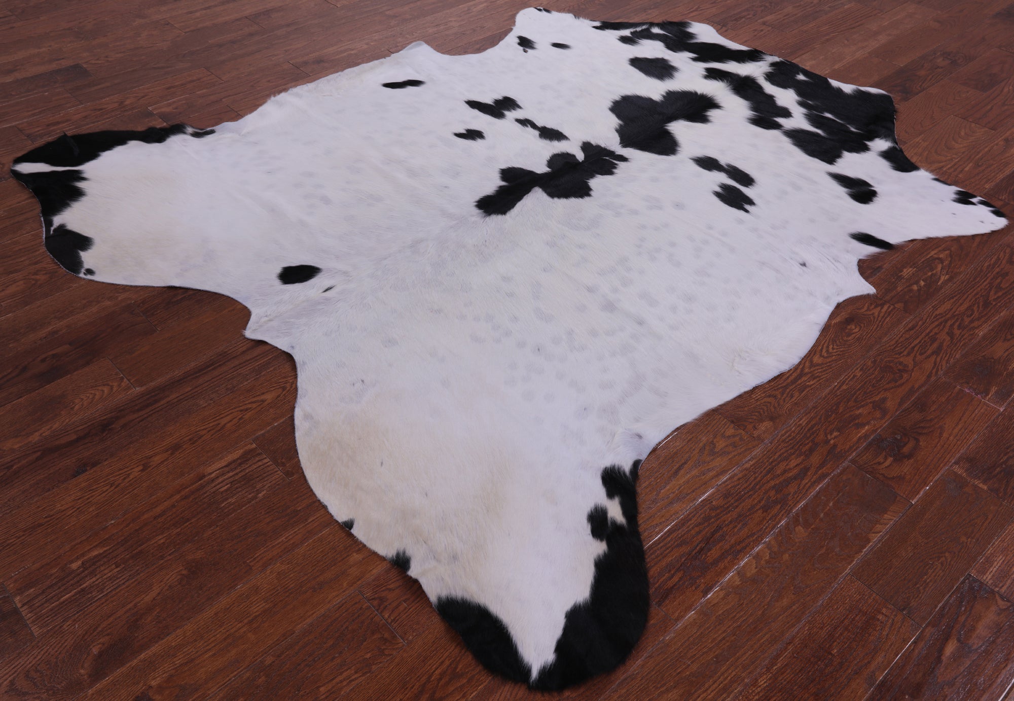 Natural Hair-On Cowhide Rug - 7' 0" X 6' 7" - Golden Nile