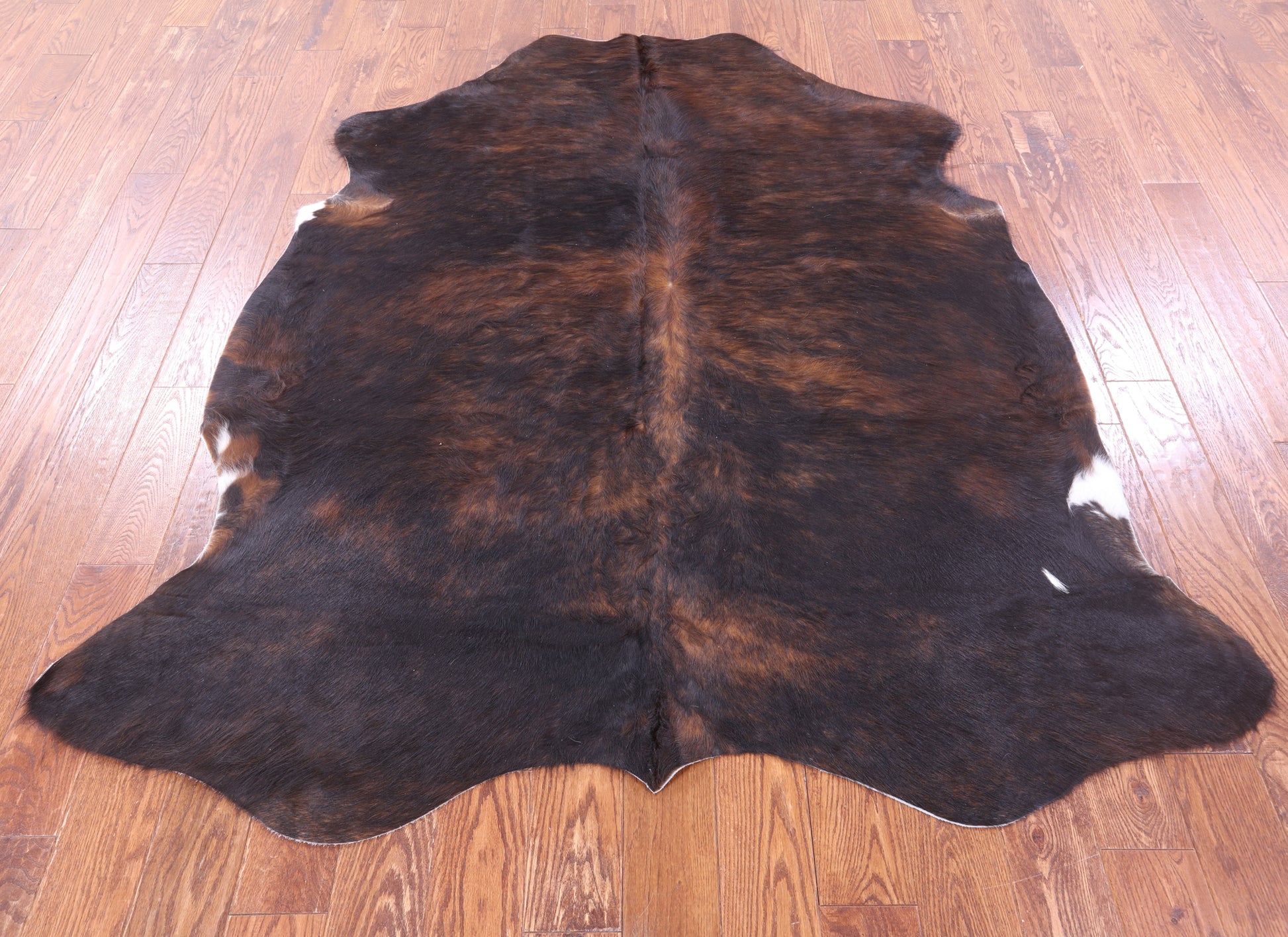 Brindle Natural Hair-On Cowhide Rug - 6' 9" X 6' 0" - Golden Nile