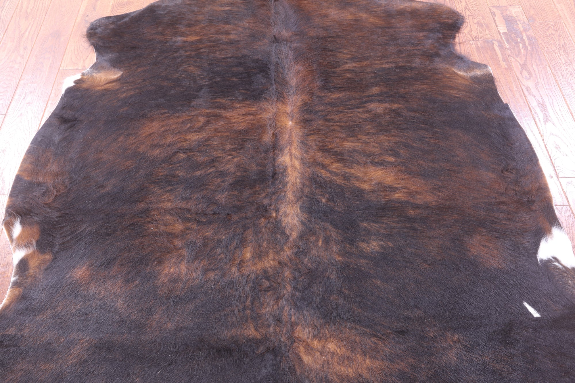 Brindle Natural Hair-On Cowhide Rug - 6' 9" X 6' 0" - Golden Nile