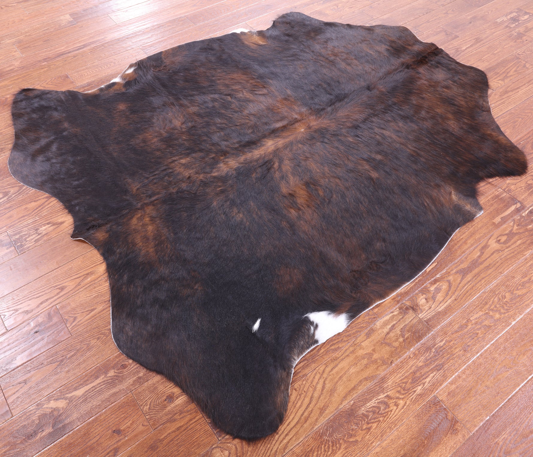 Brindle Natural Hair-On Cowhide Rug - 6' 9" X 6' 0" - Golden Nile