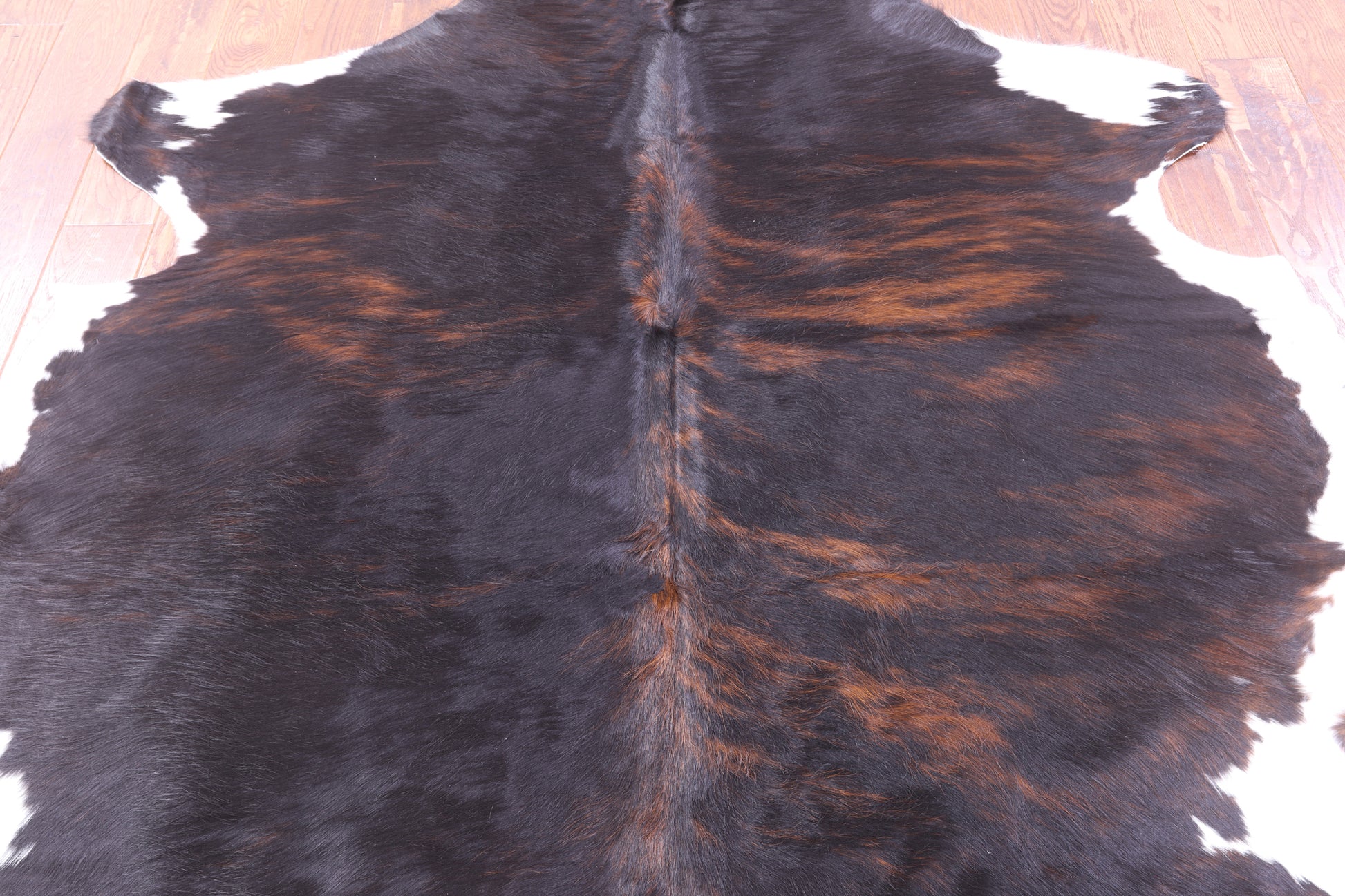 Natural Hair-On Cowhide Rug - 6' 8" X 6' 6" - Golden Nile