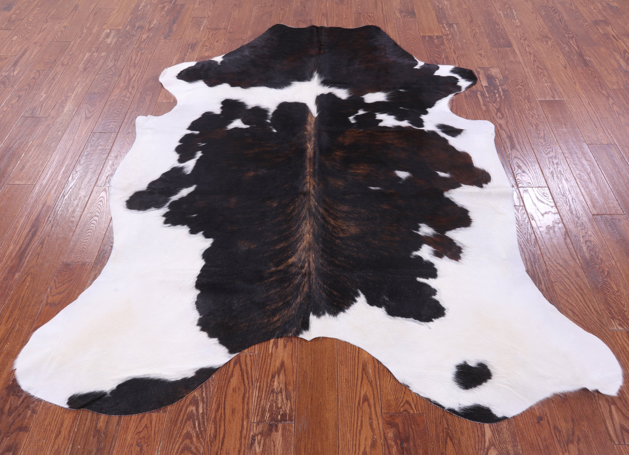 Natural Hair-On Cowhide Rug - 7' 6" X 6' 3" - Golden Nile