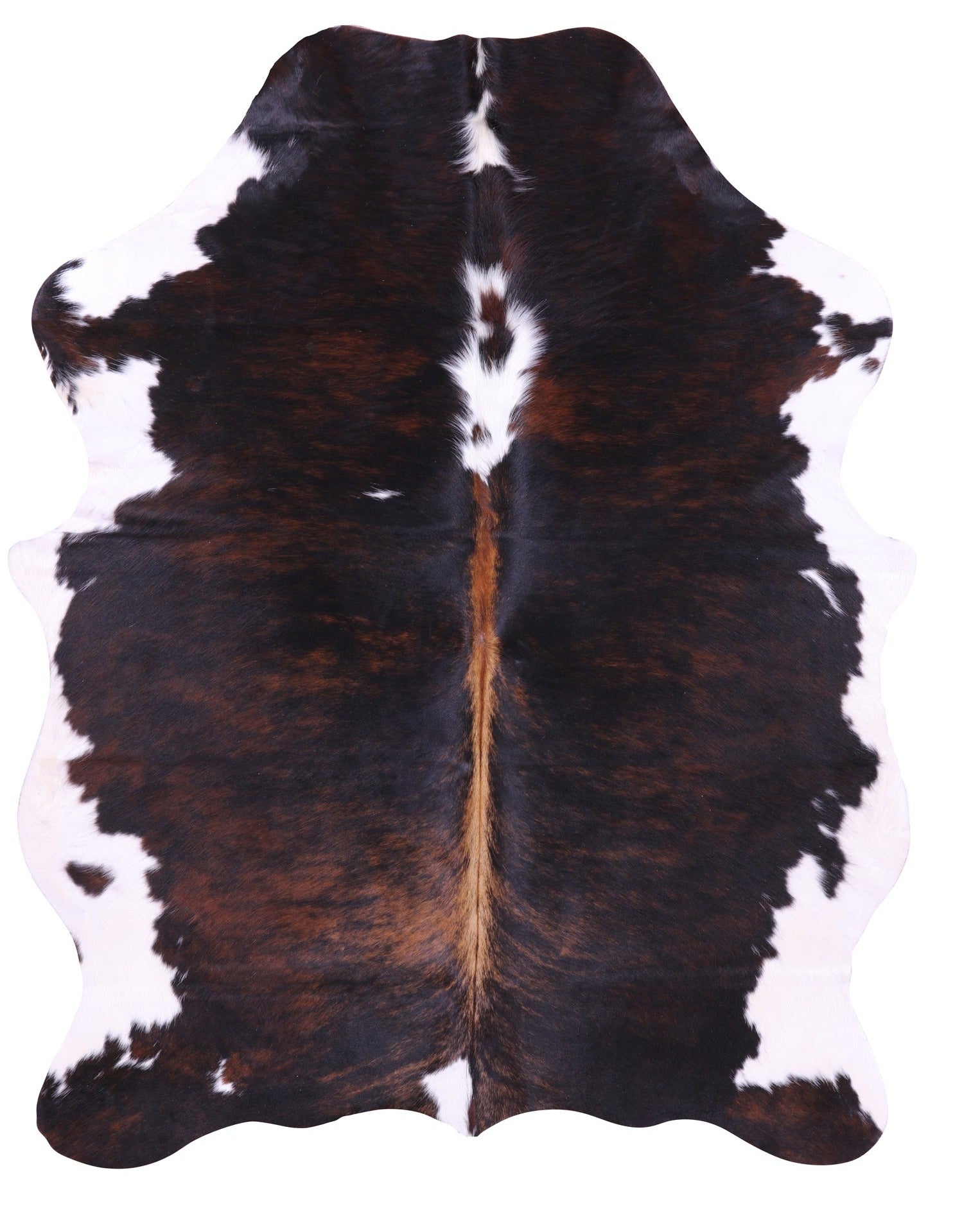 Natural Hair-On Cowhide Rug – Golden Nile