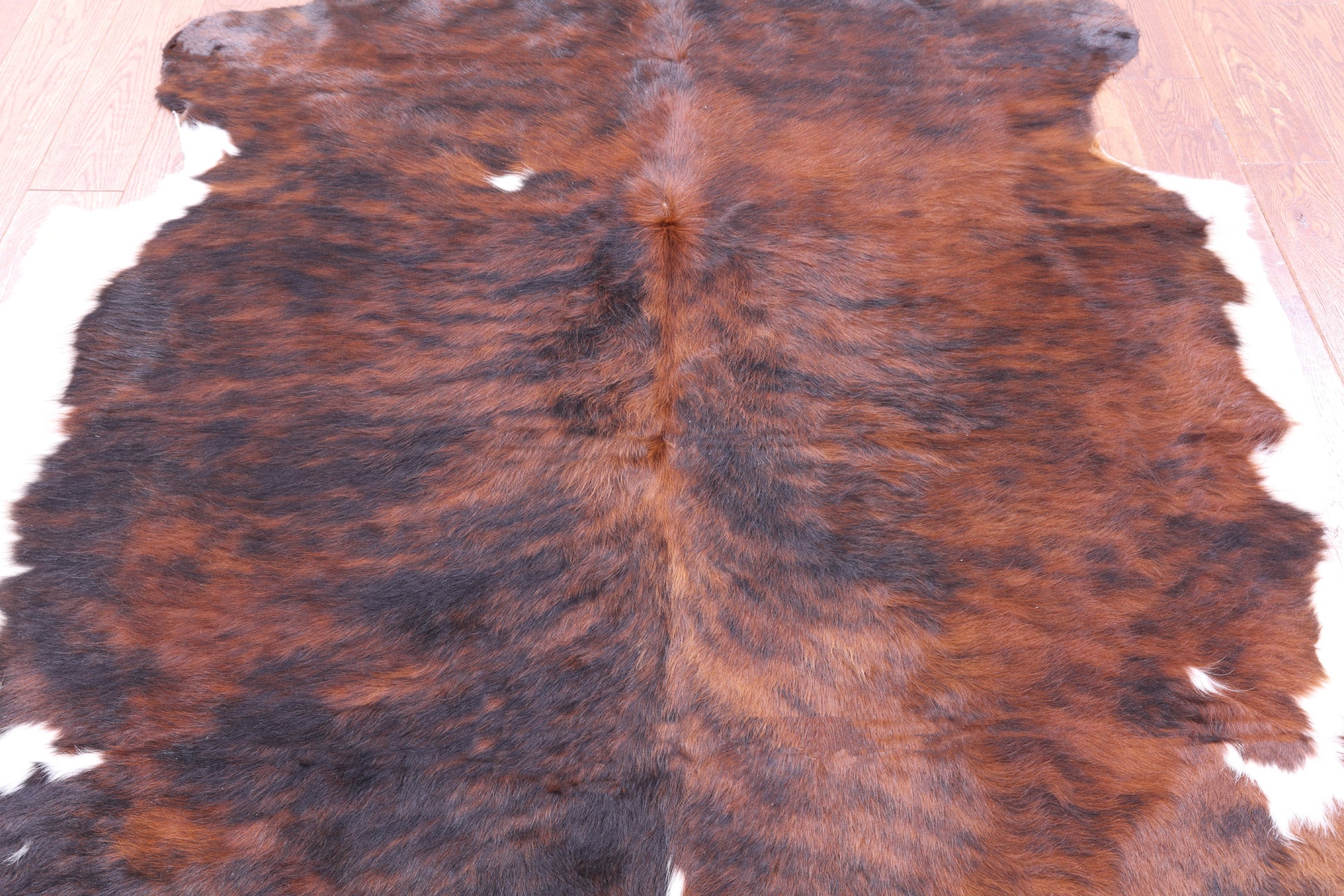 Natural Hair-On Cowhide Rug - 6' 9" X 6' 3" - Golden Nile