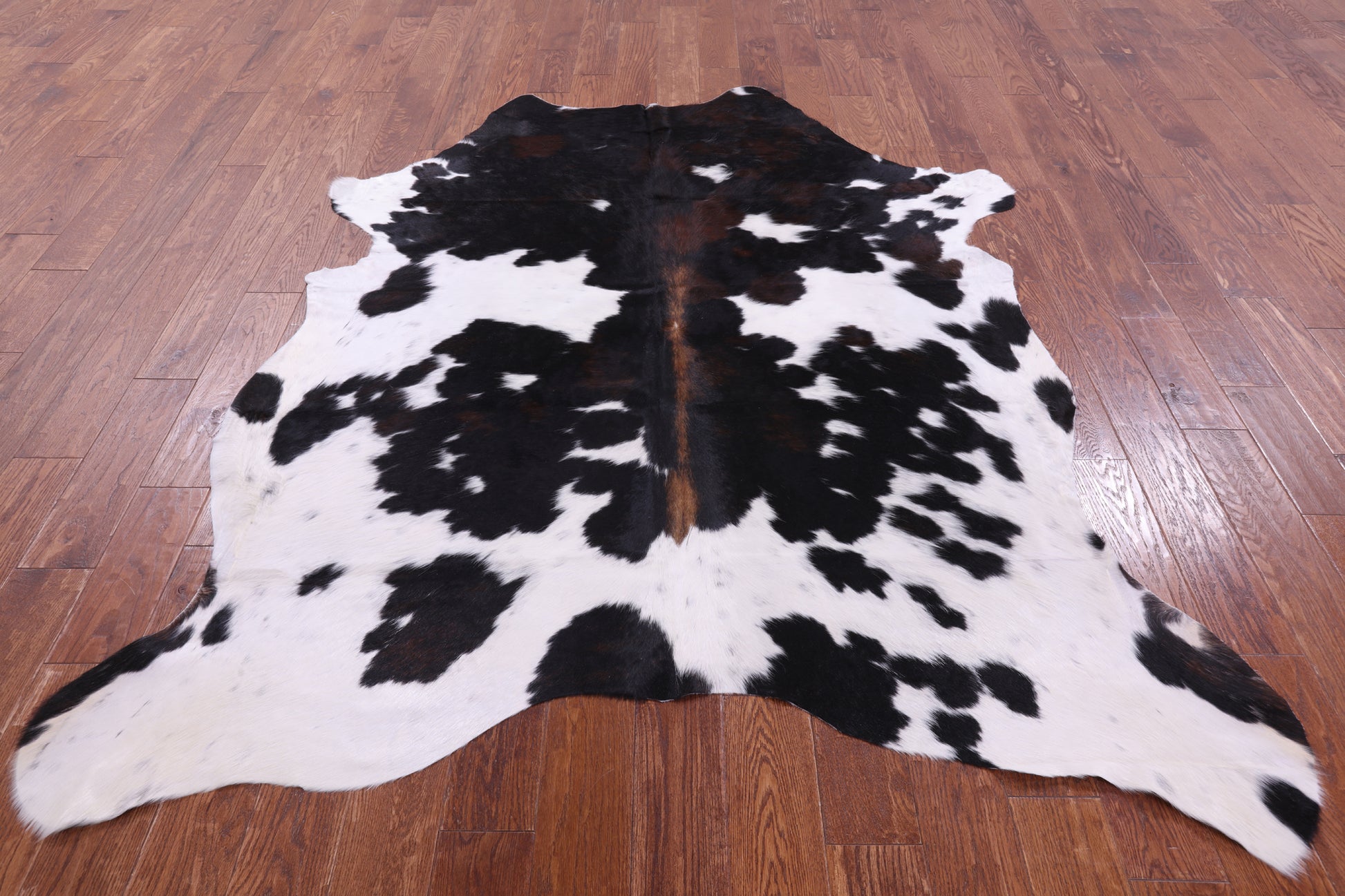 Natural Hair-On Cowhide Rug - 7' 0" X 6' 0" - Golden Nile