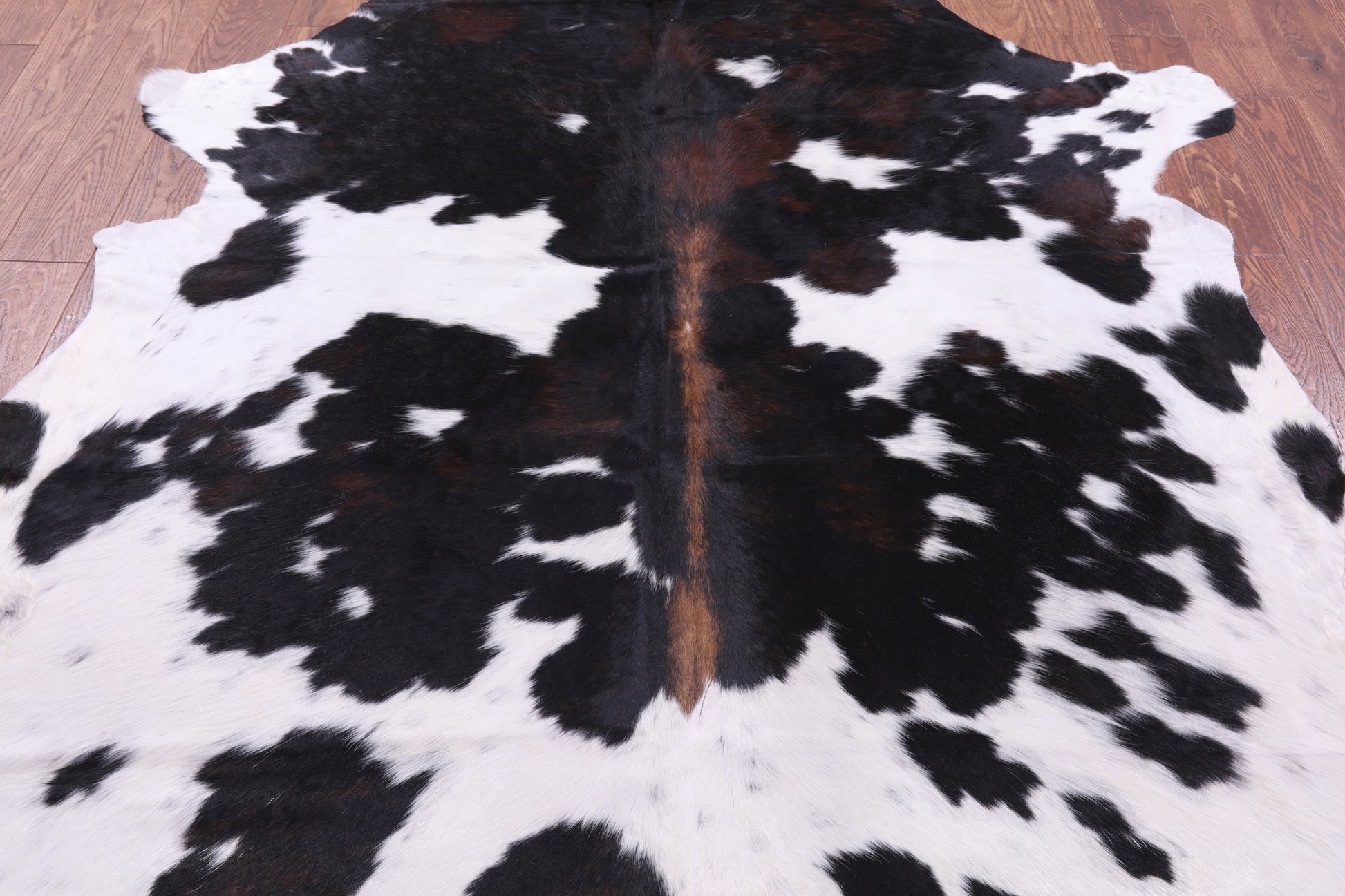 Natural Hair-On Cowhide Rug - 7' 0" X 6' 0" - Golden Nile