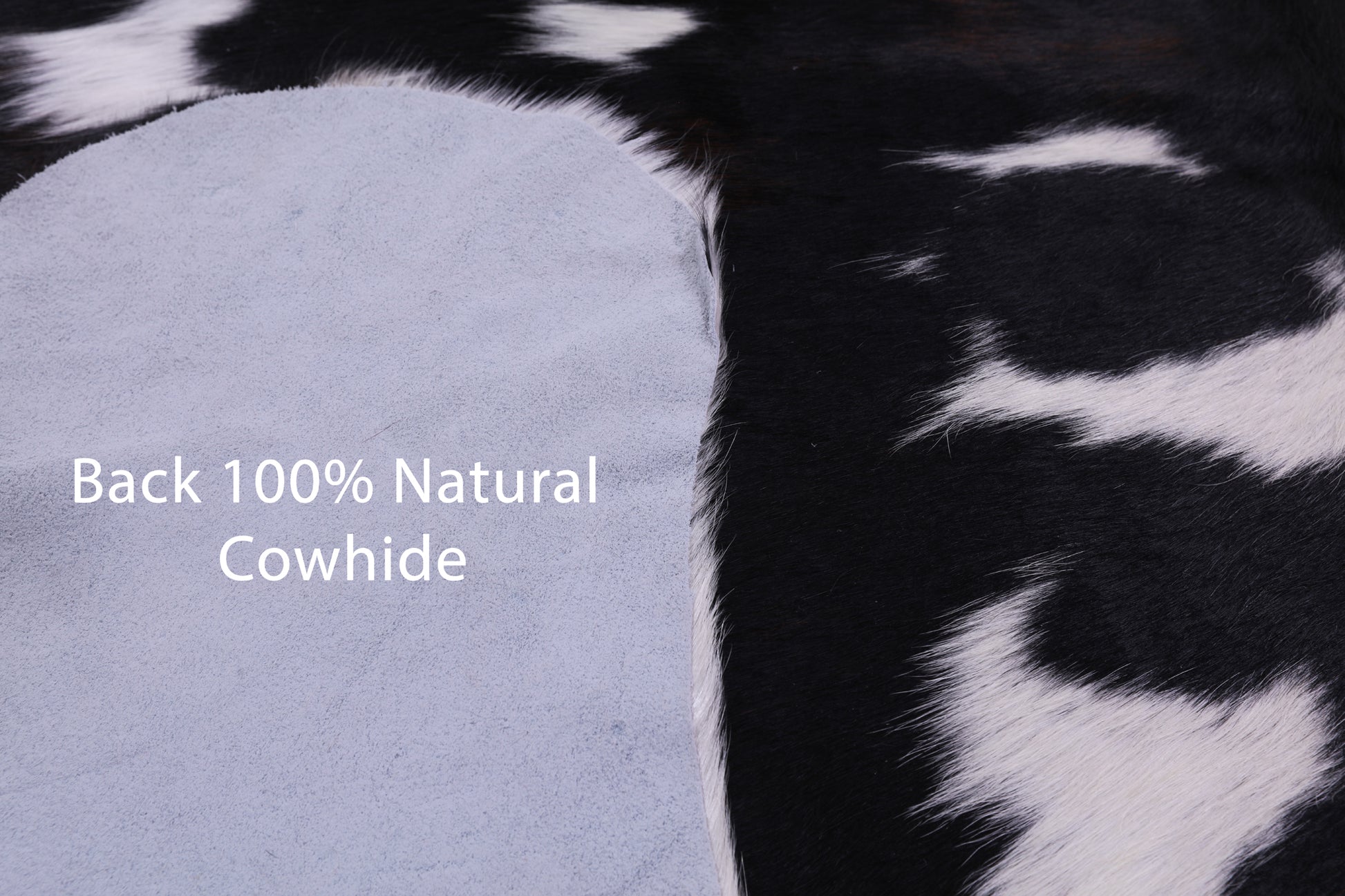 Natural Hair-On Cowhide Rug - 7' 0" X 6' 0" - Golden Nile