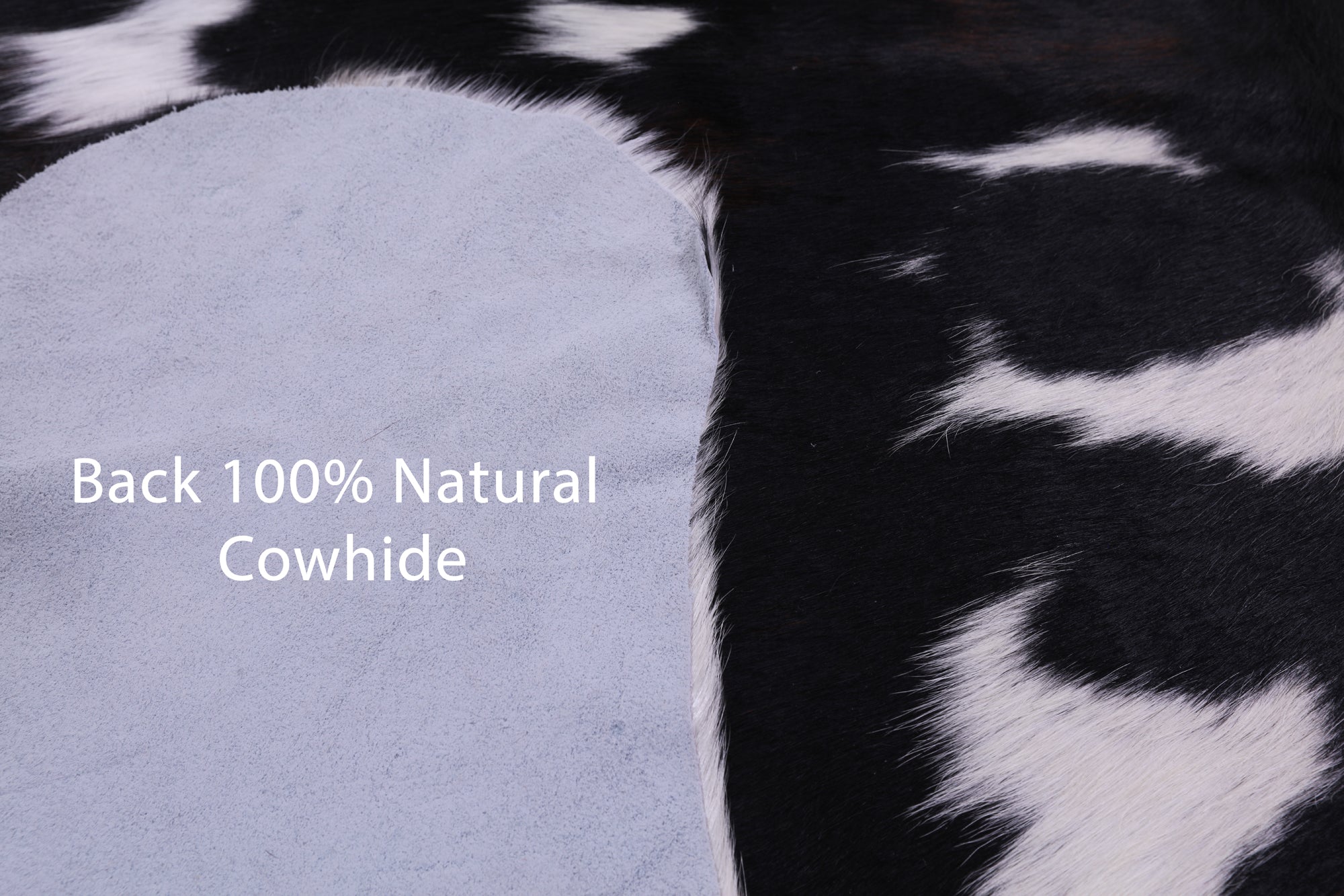 Natural Hair-On Cowhide Rug - 7' 0" X 6' 0" - Golden Nile