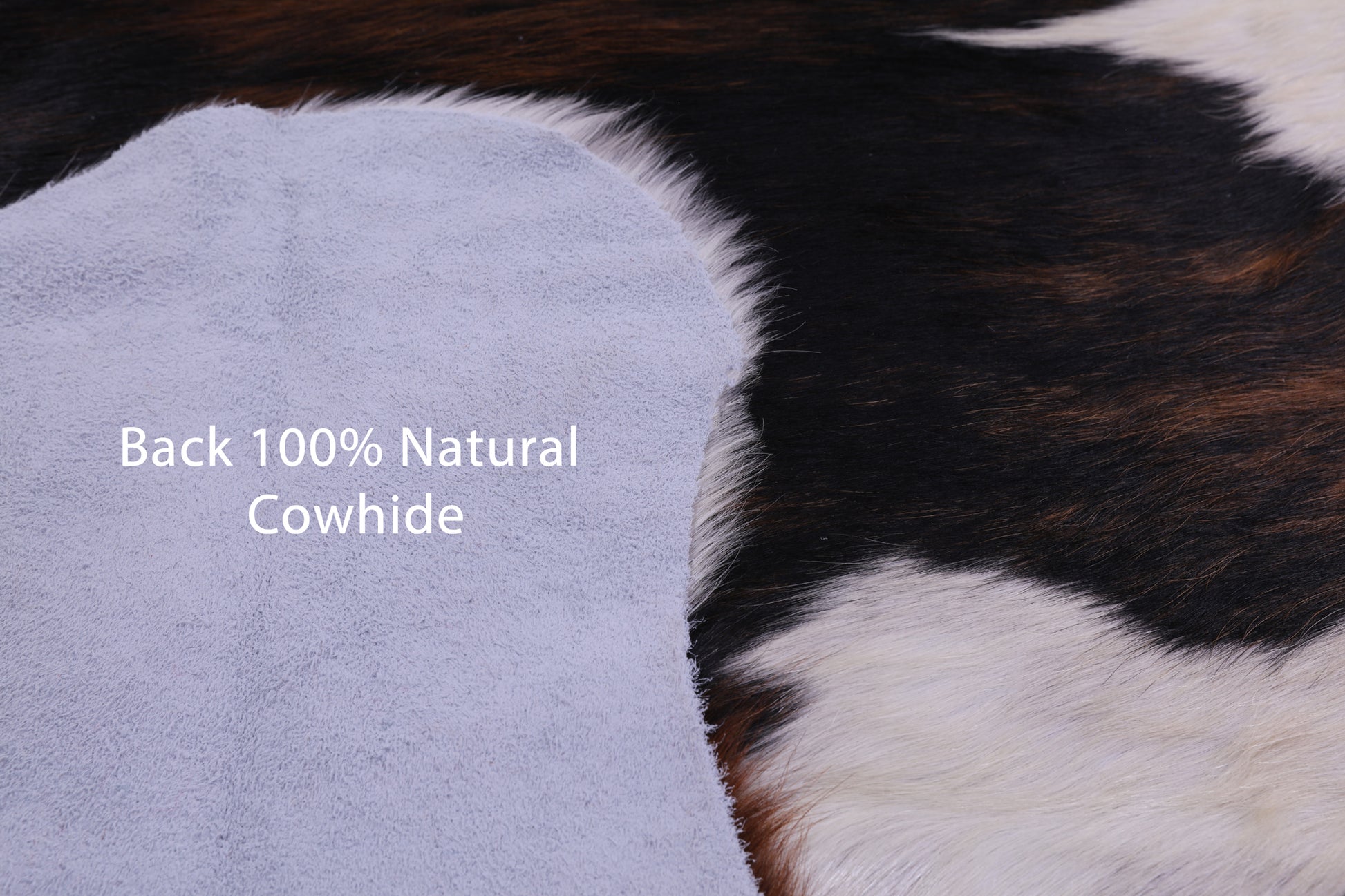 Natural Hair-On Cowhide Rug - 6' 10" X 6' 0" - Golden Nile