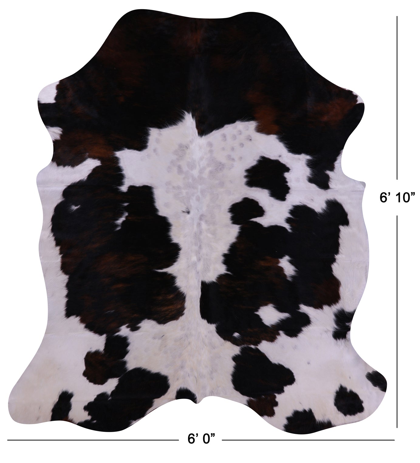 Natural Hair-On Cowhide Rug - 6' 10" X 6' 0" - Golden Nile
