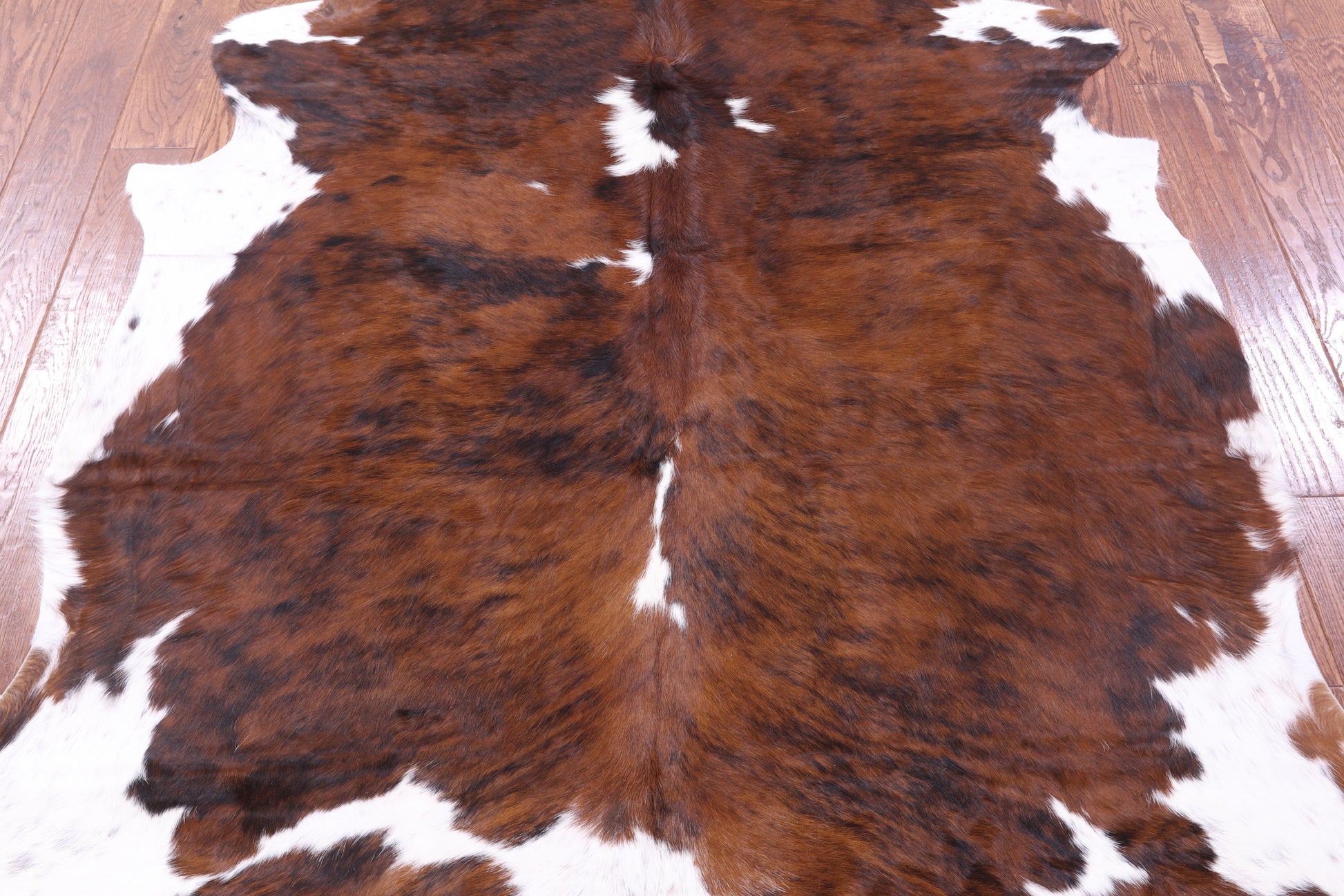 Natural Hair-On Cowhide Rug - 6' 11" X 6' 0" - Golden Nile