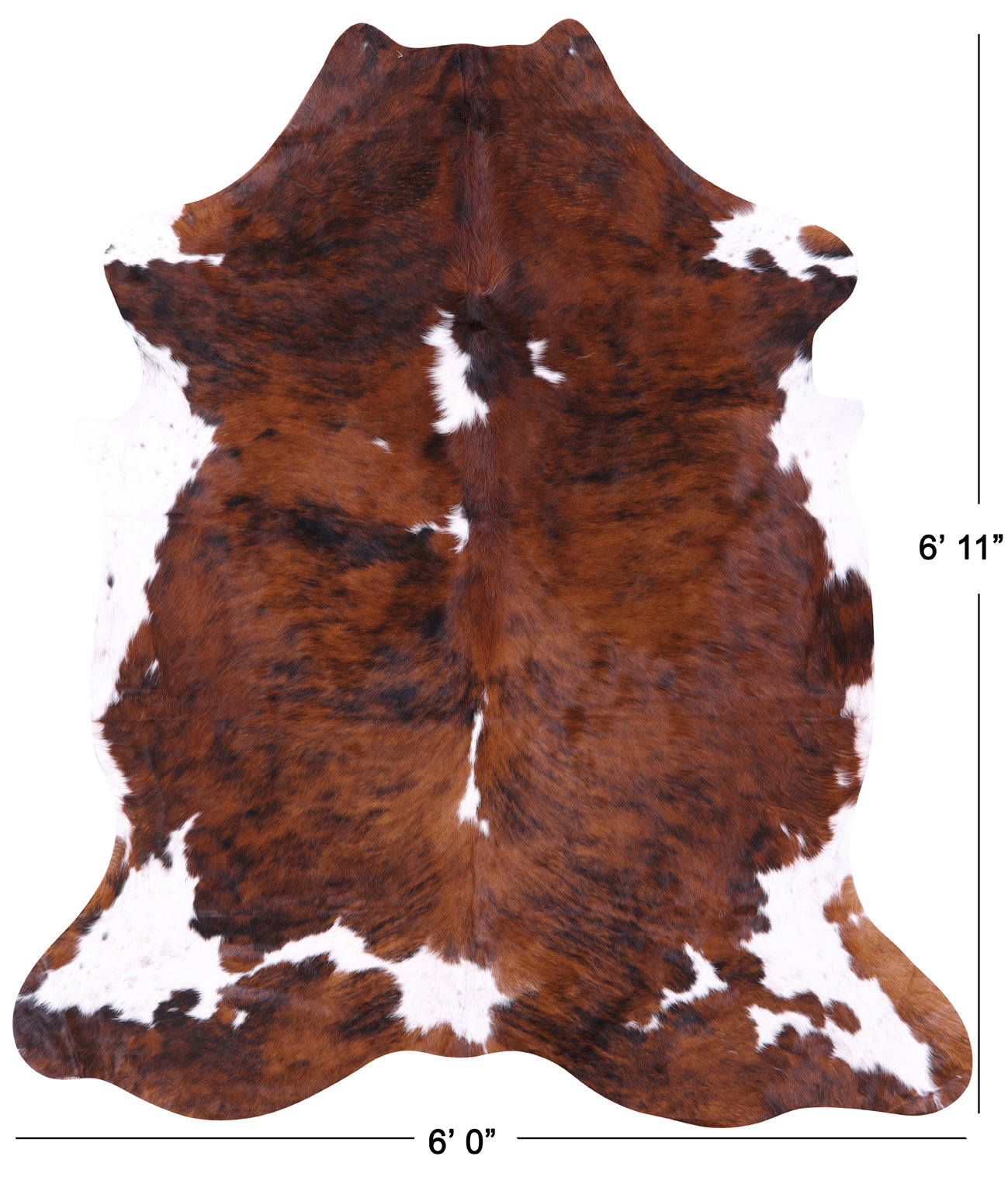 Natural Hair-On Cowhide Rug - 6' 11" X 6' 0" - Golden Nile