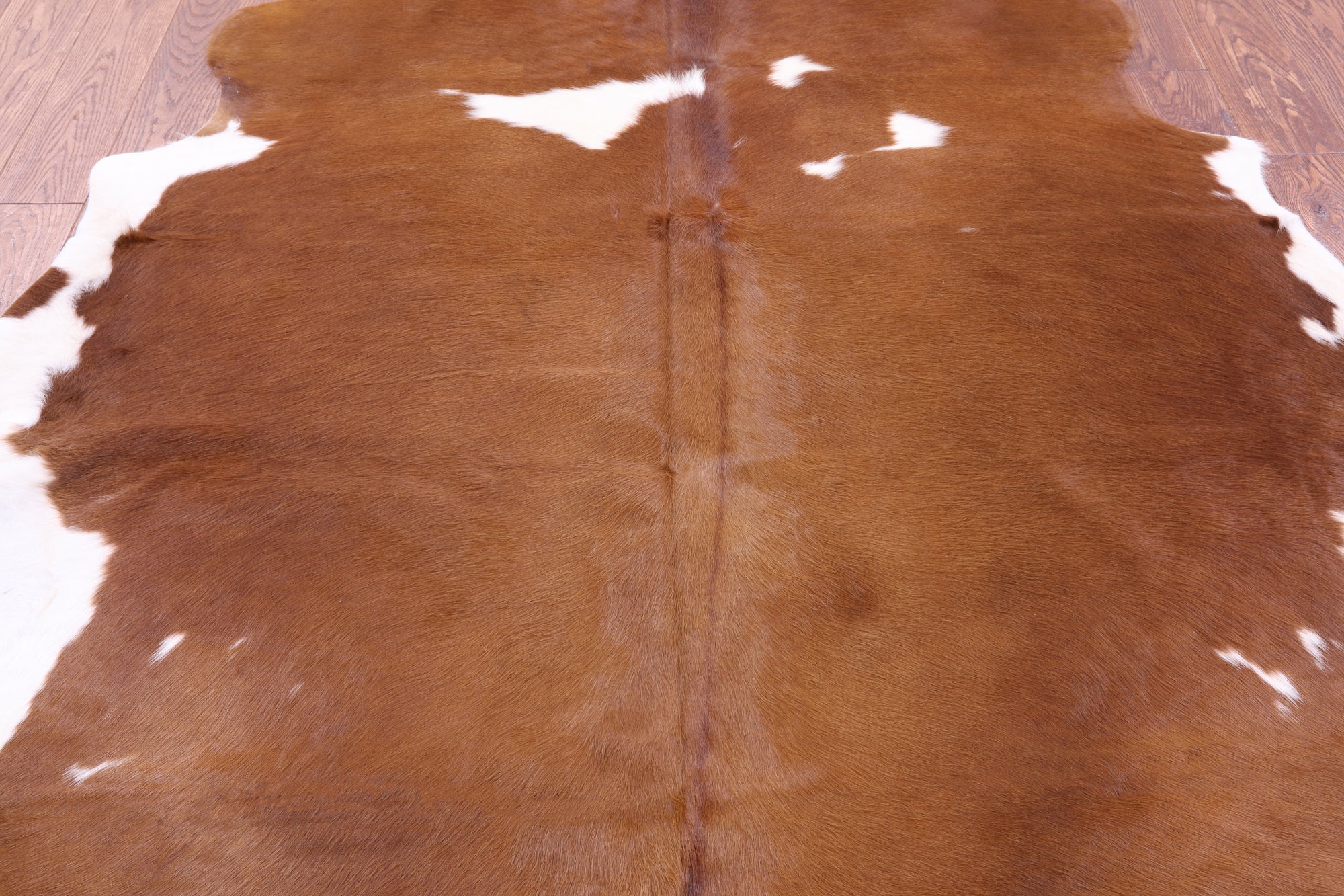 Natural Hair-On Cowhide Rug - 6' 6" X 5' 6" - Golden Nile